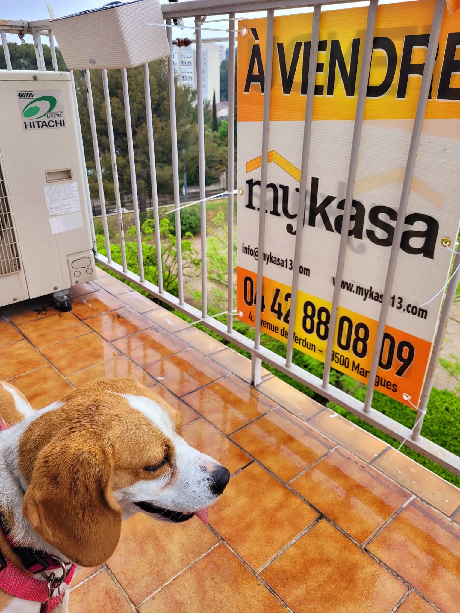 Foto 84 di MYKASA
