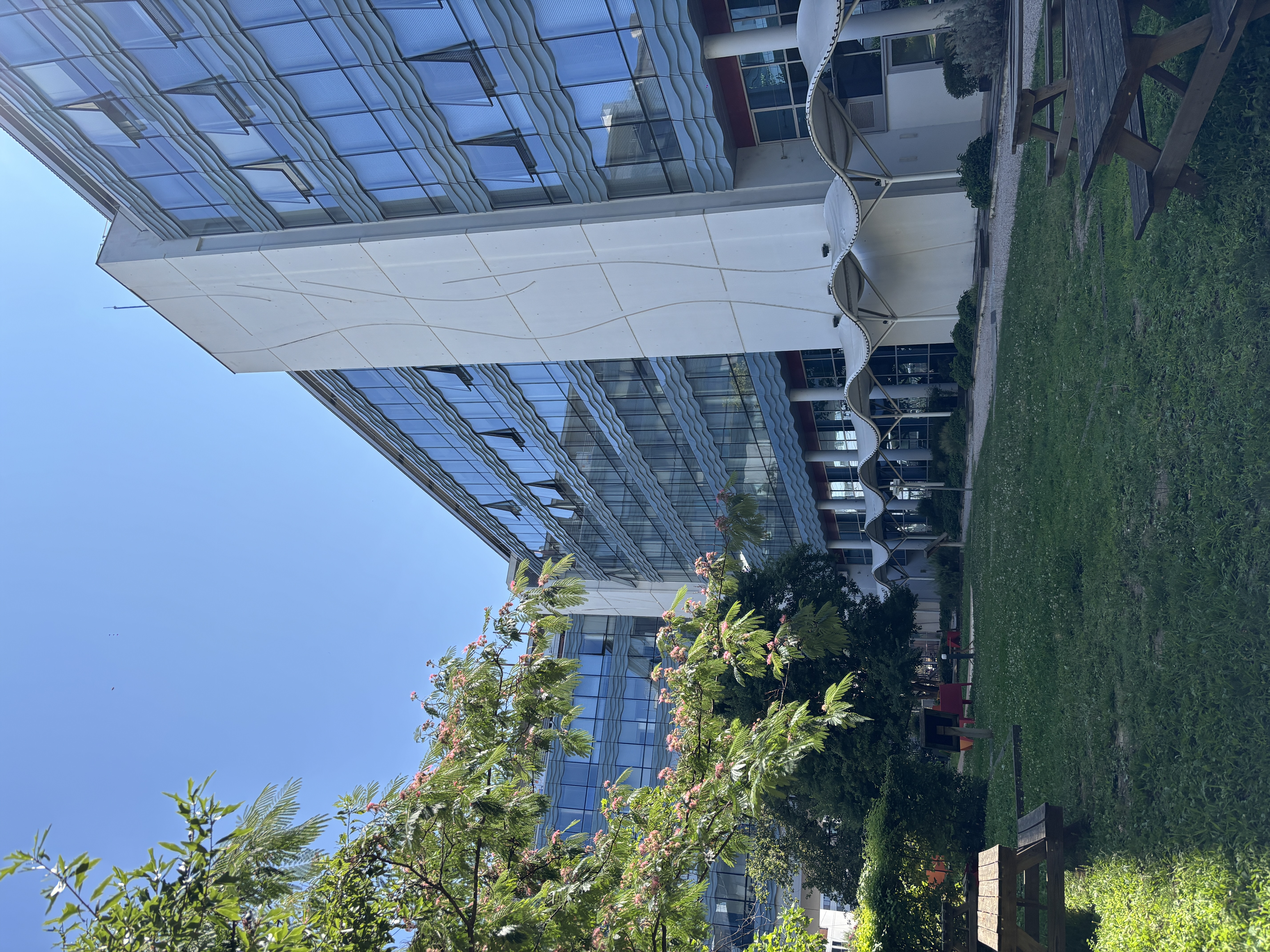 Foto 5 di Ecole de Commerce Lyon - ISG