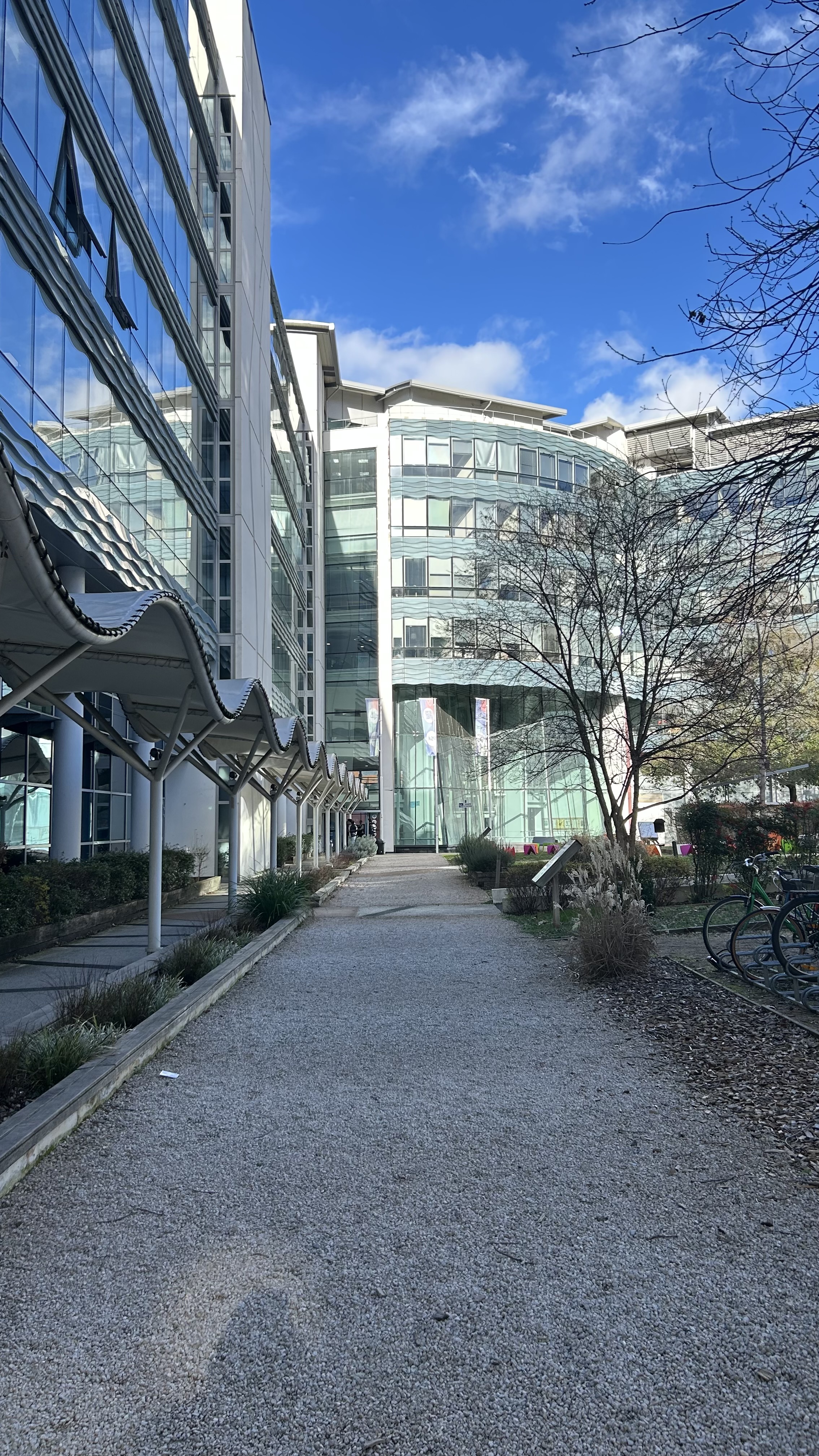 Foto 3 di Ecole de Commerce Lyon - ISG