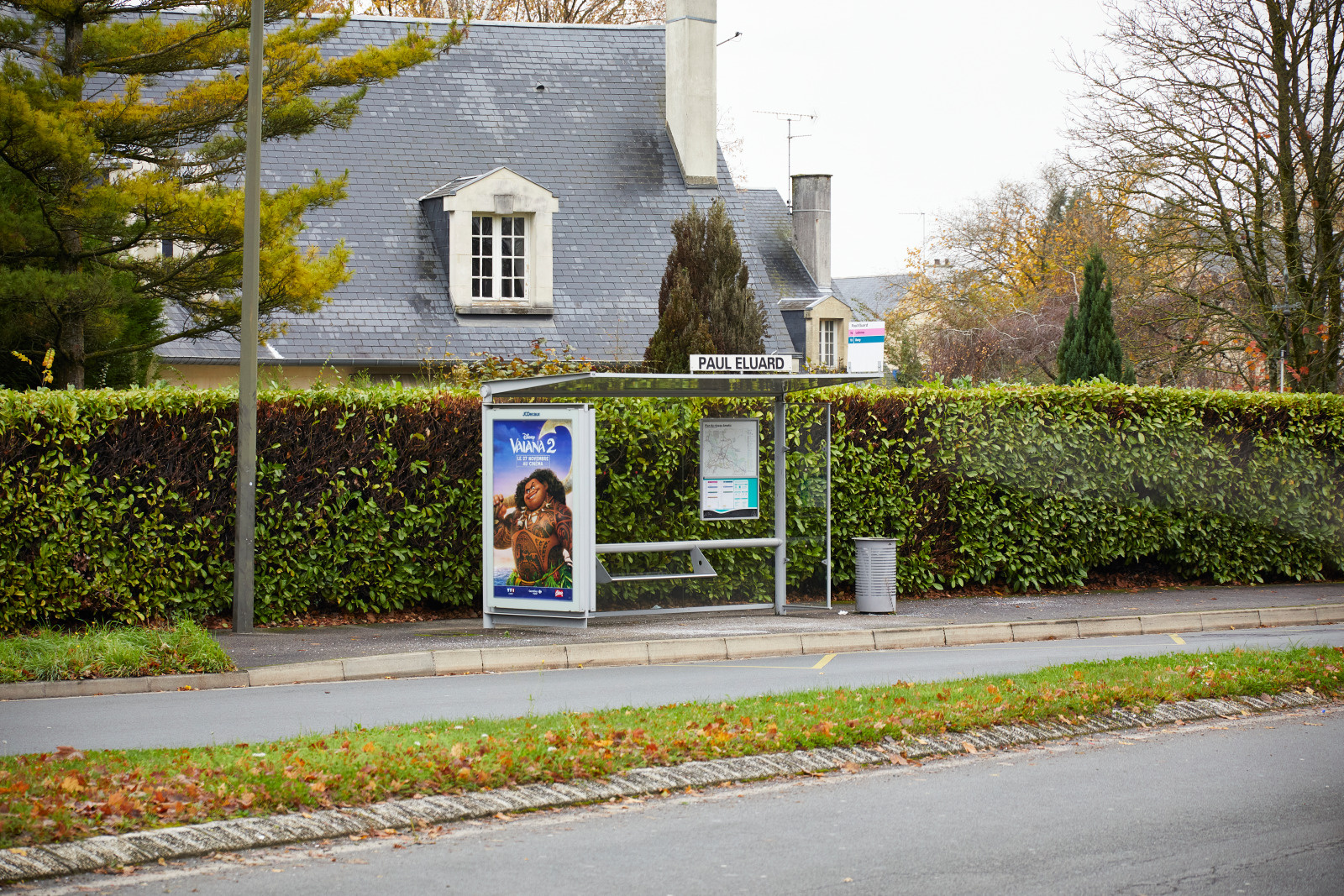 Foto 11 di MAIF Assurances Amiens