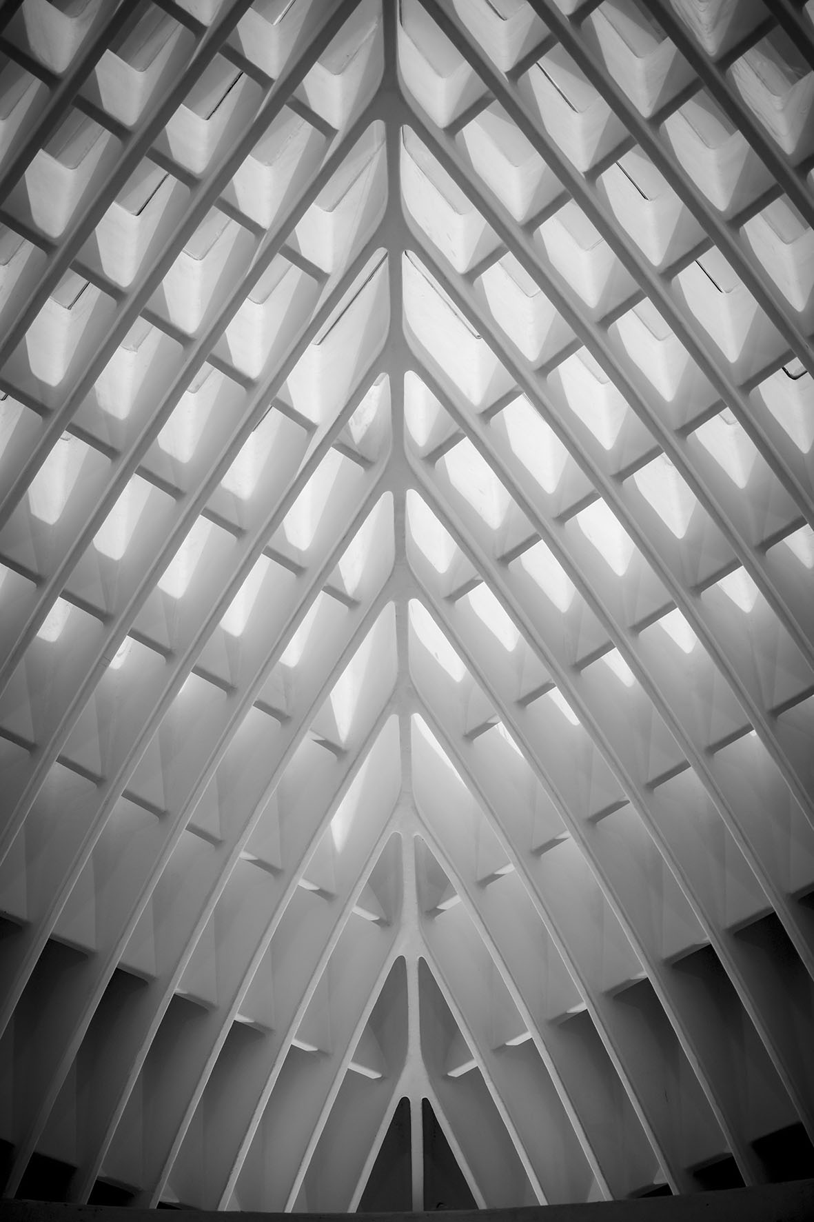 Foto 8 di ECIJA Abogados