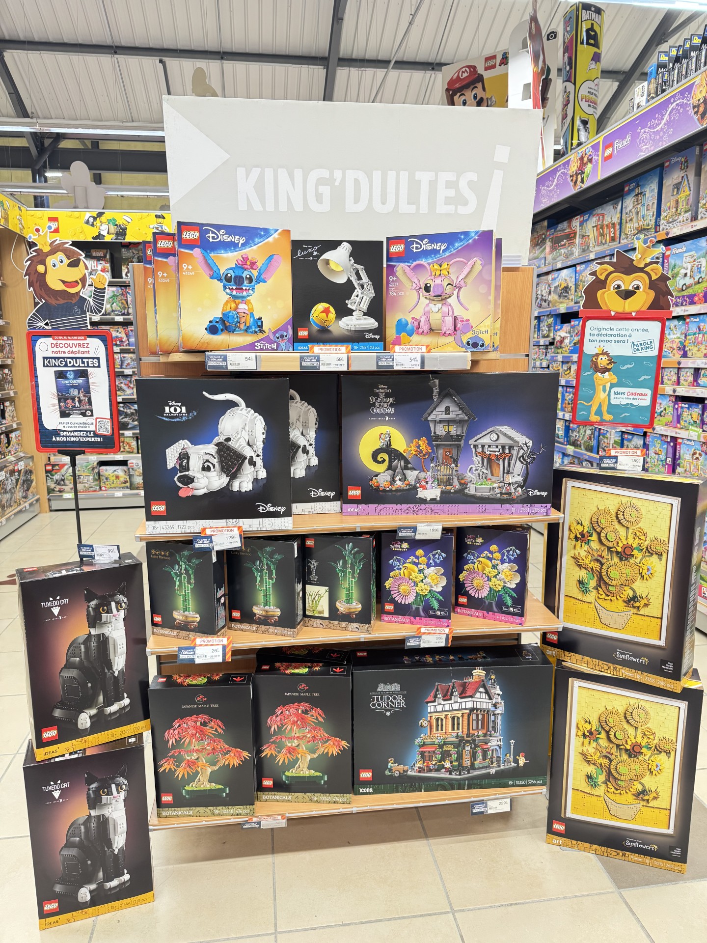 Foto 41 di King Jouet