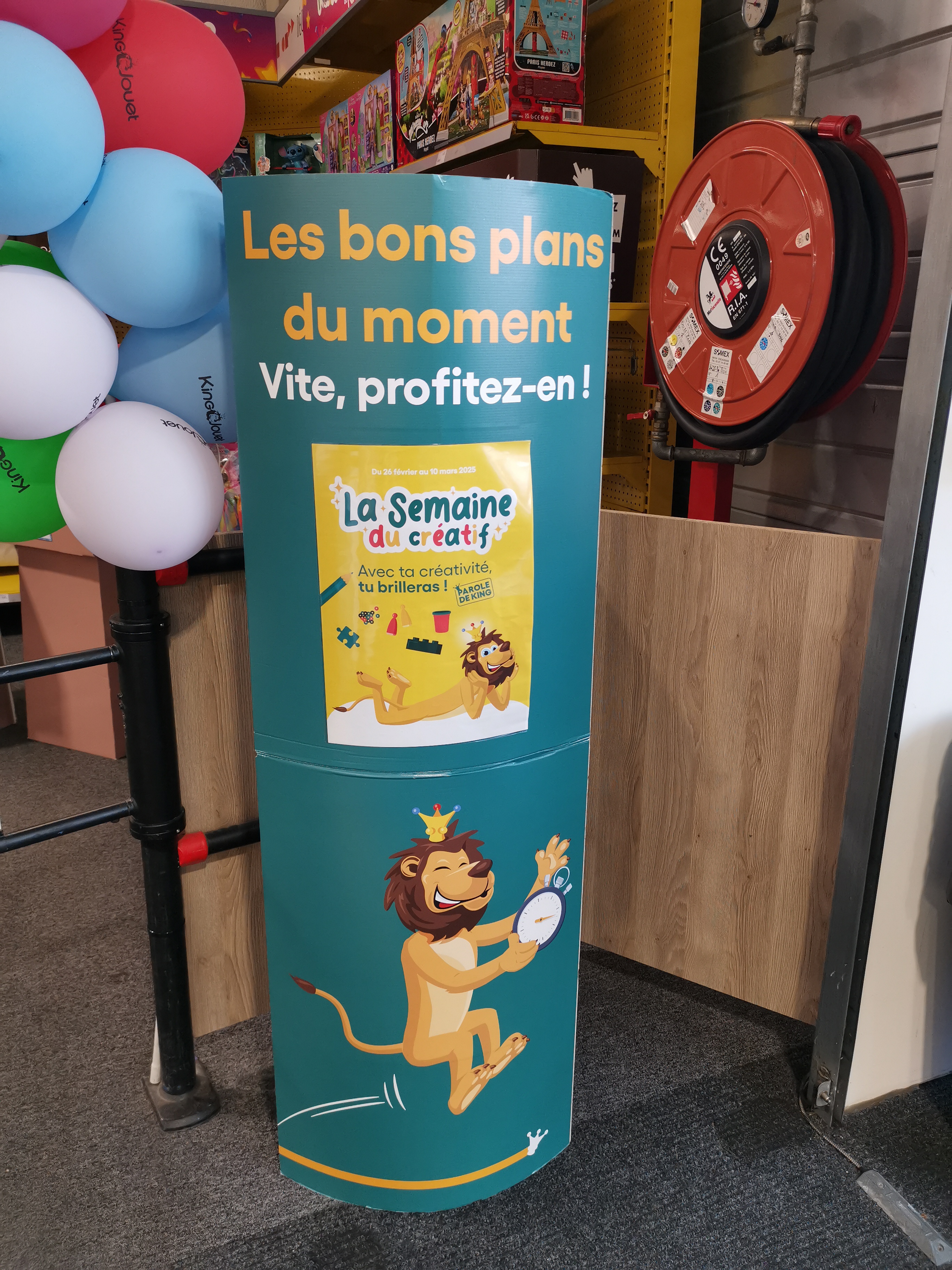 Foto 11 di King Jouet