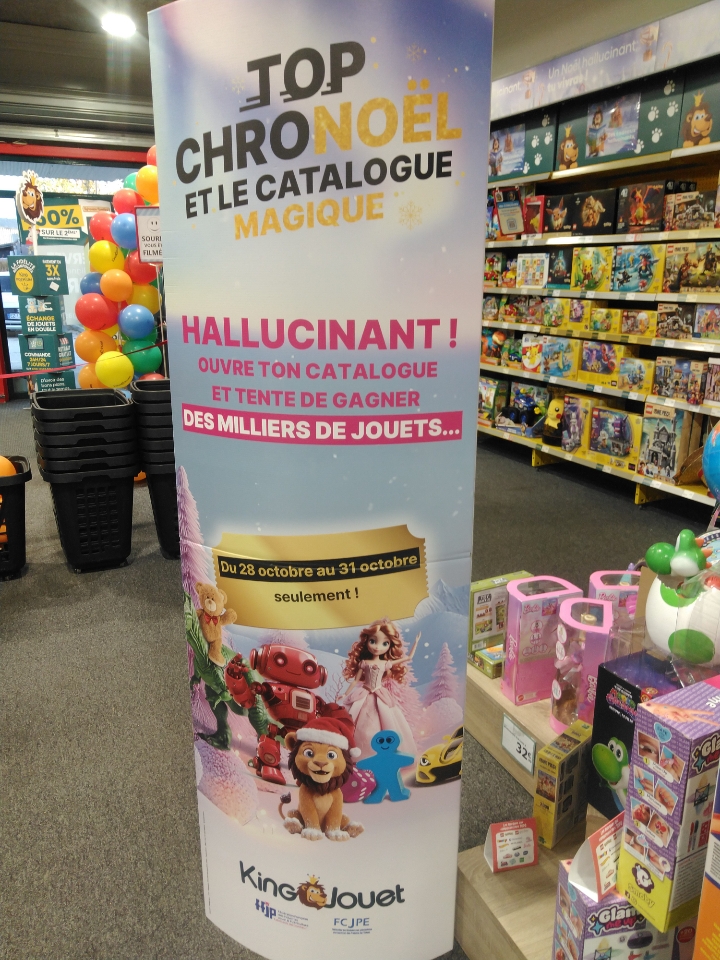 Photo 262 de King Jouet
