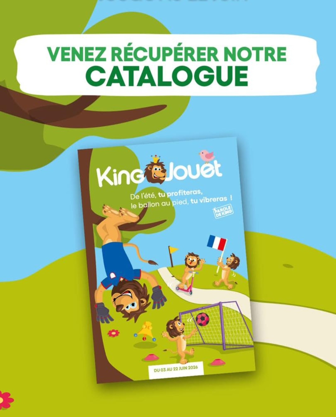 Foto 183 di King Jouet