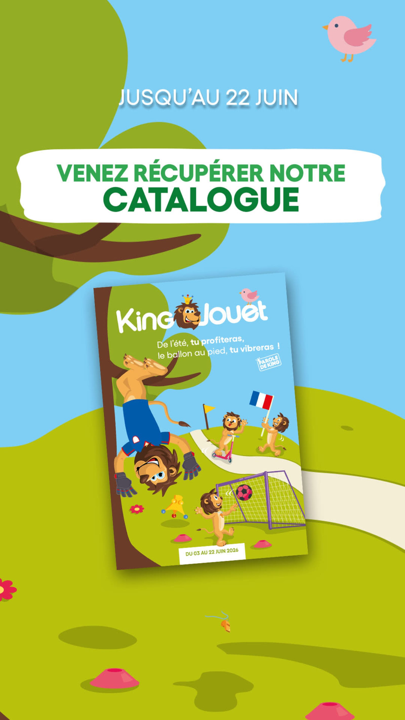 Foto 133 di King Jouet  Agen