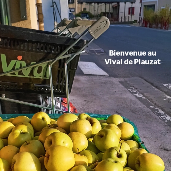 Foto 5 di Vival