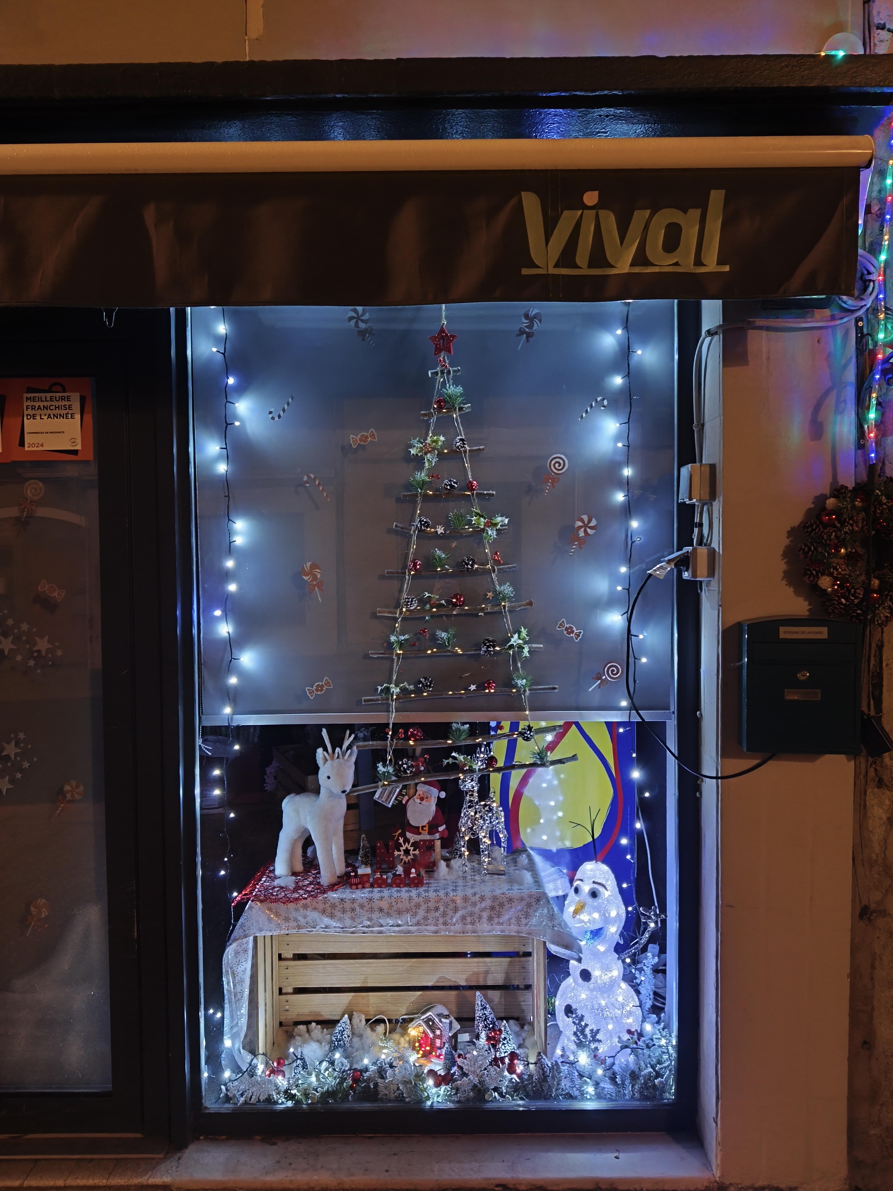 Foto 6 di Vival