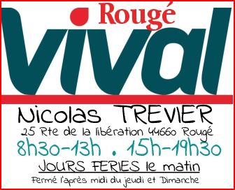 Foto 4 di Vival