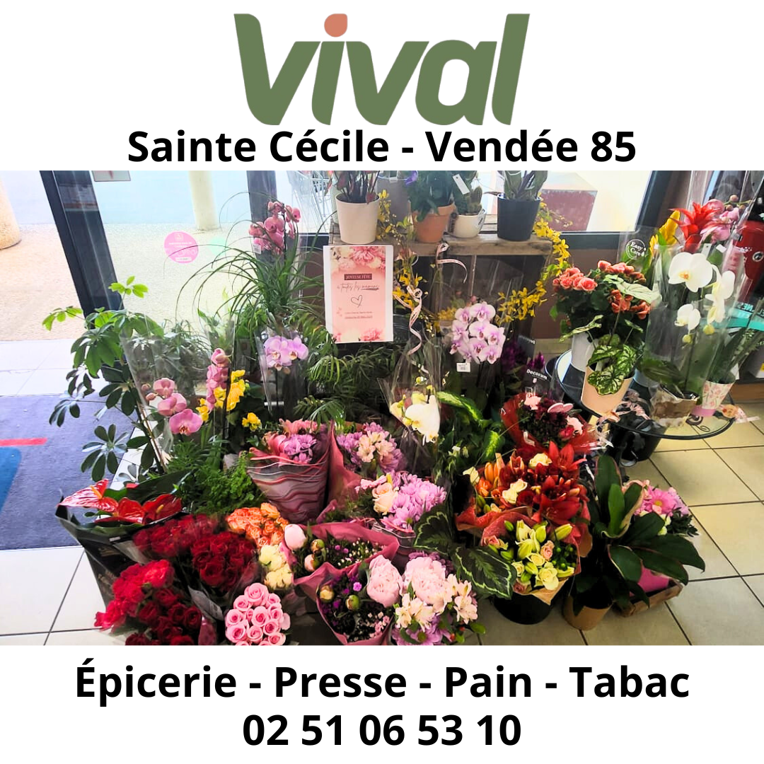 Foto 16 di Vival
