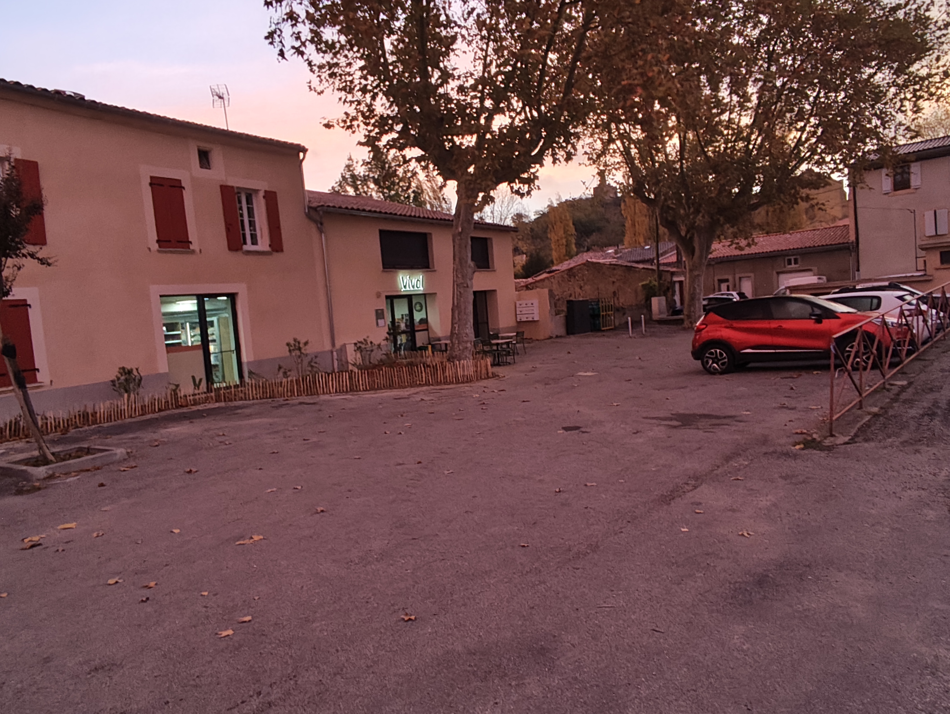 Foto 2 di Vival