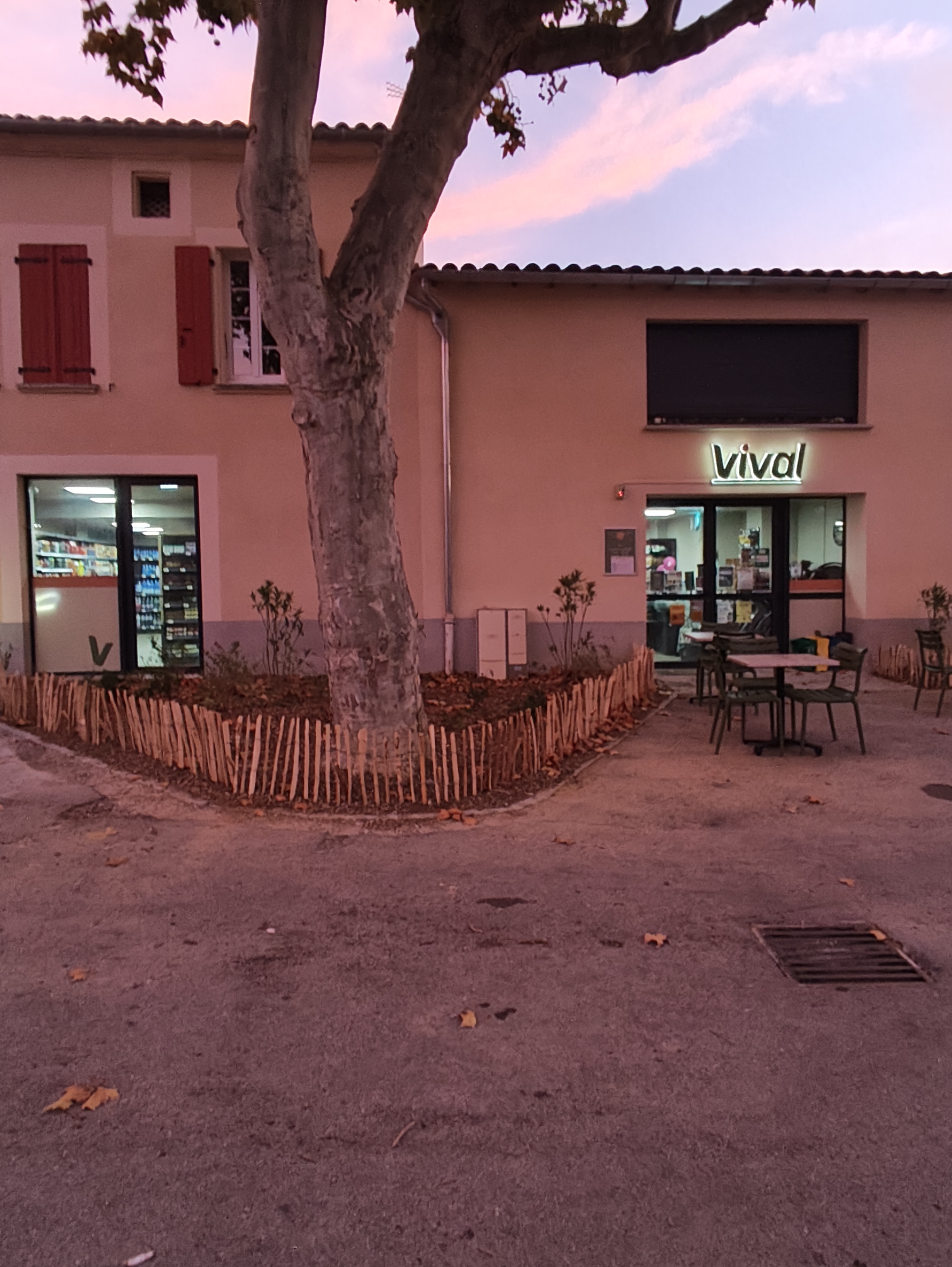 Foto 3 di Vival
