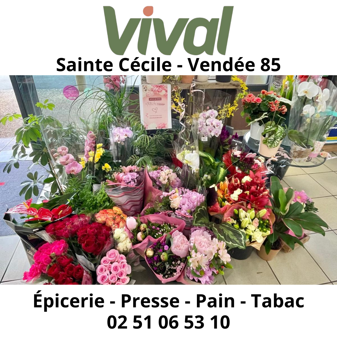Foto 14 di Vival