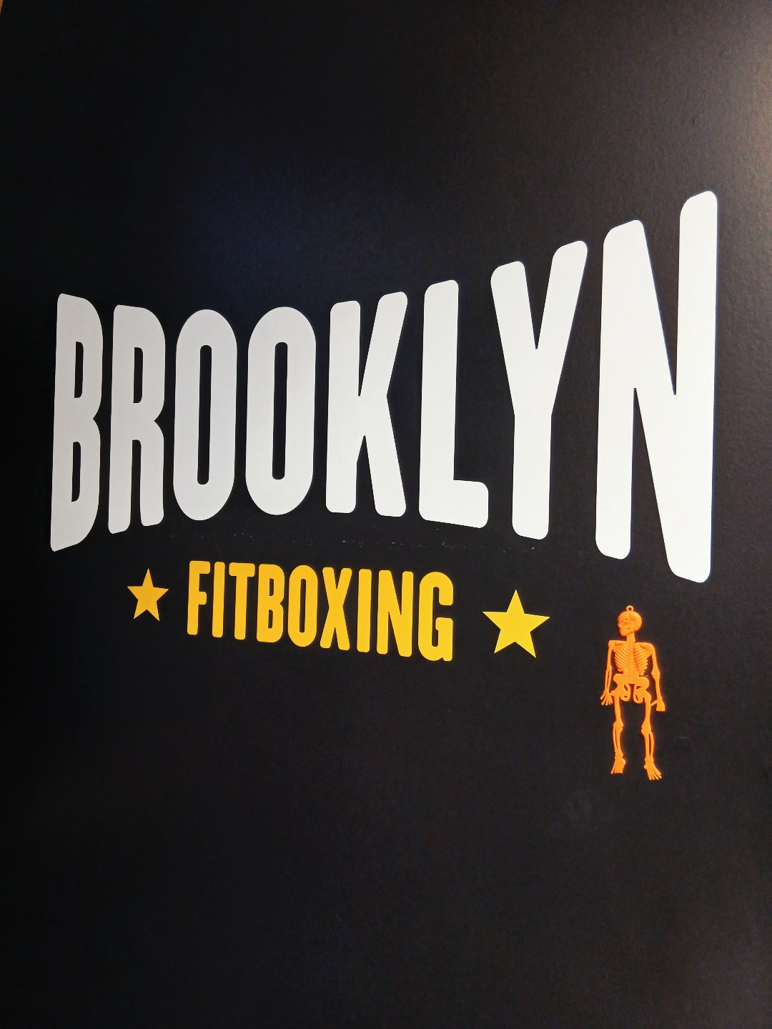 Fotografia 57 de Brooklyn Fitboxing Convention