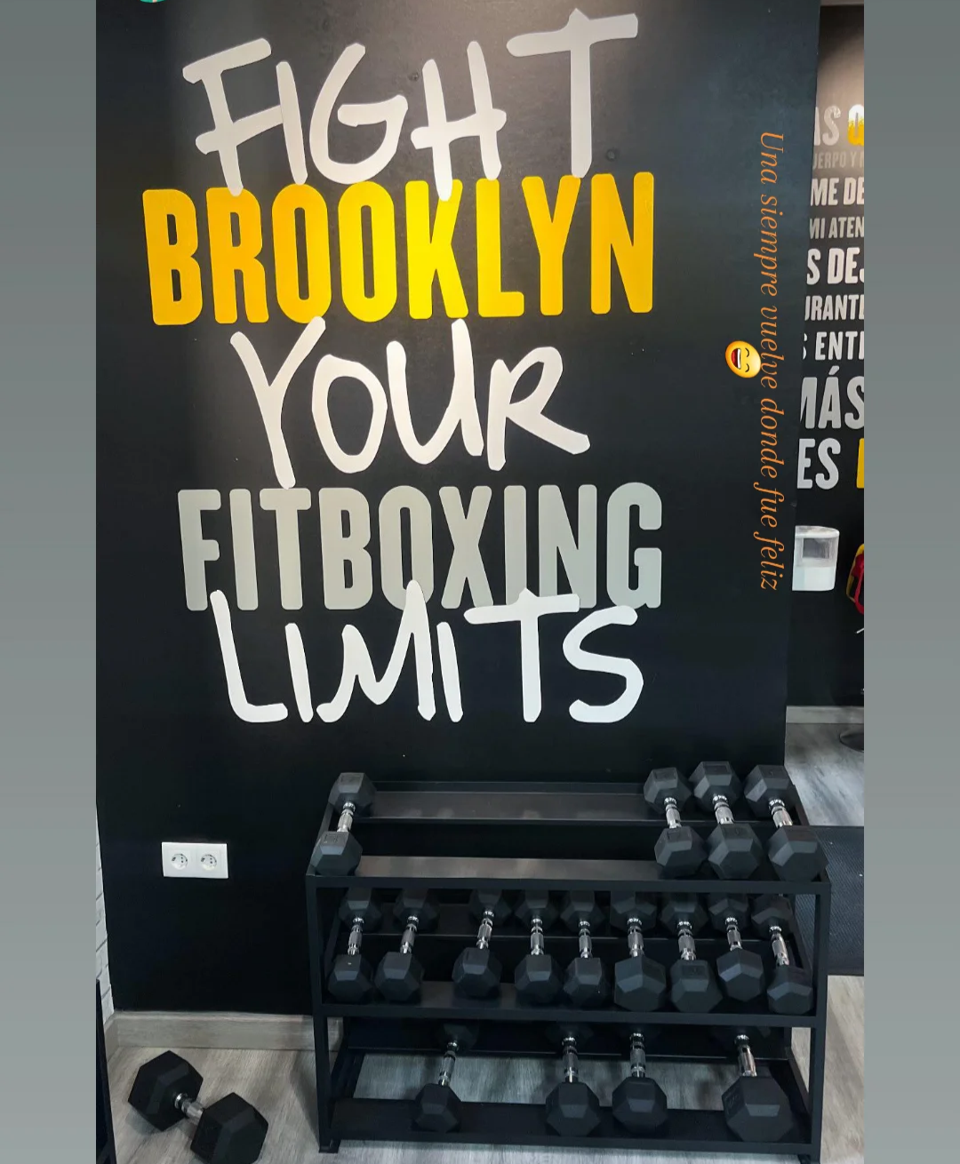 Fotografia 397 de Brooklyn Fitboxing Badajoz