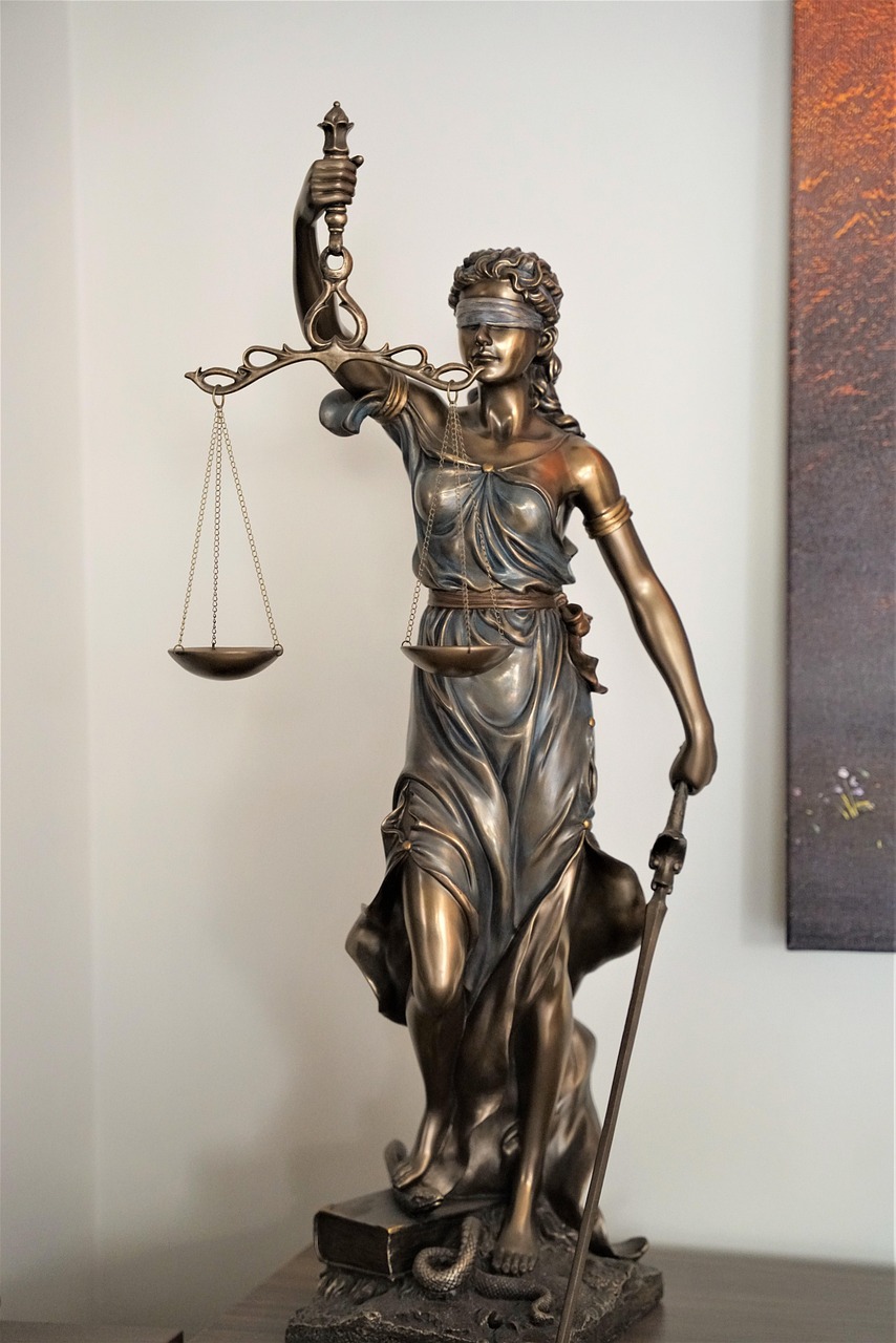 Foto 8 di Maître Cécile David - Avocat Rouen