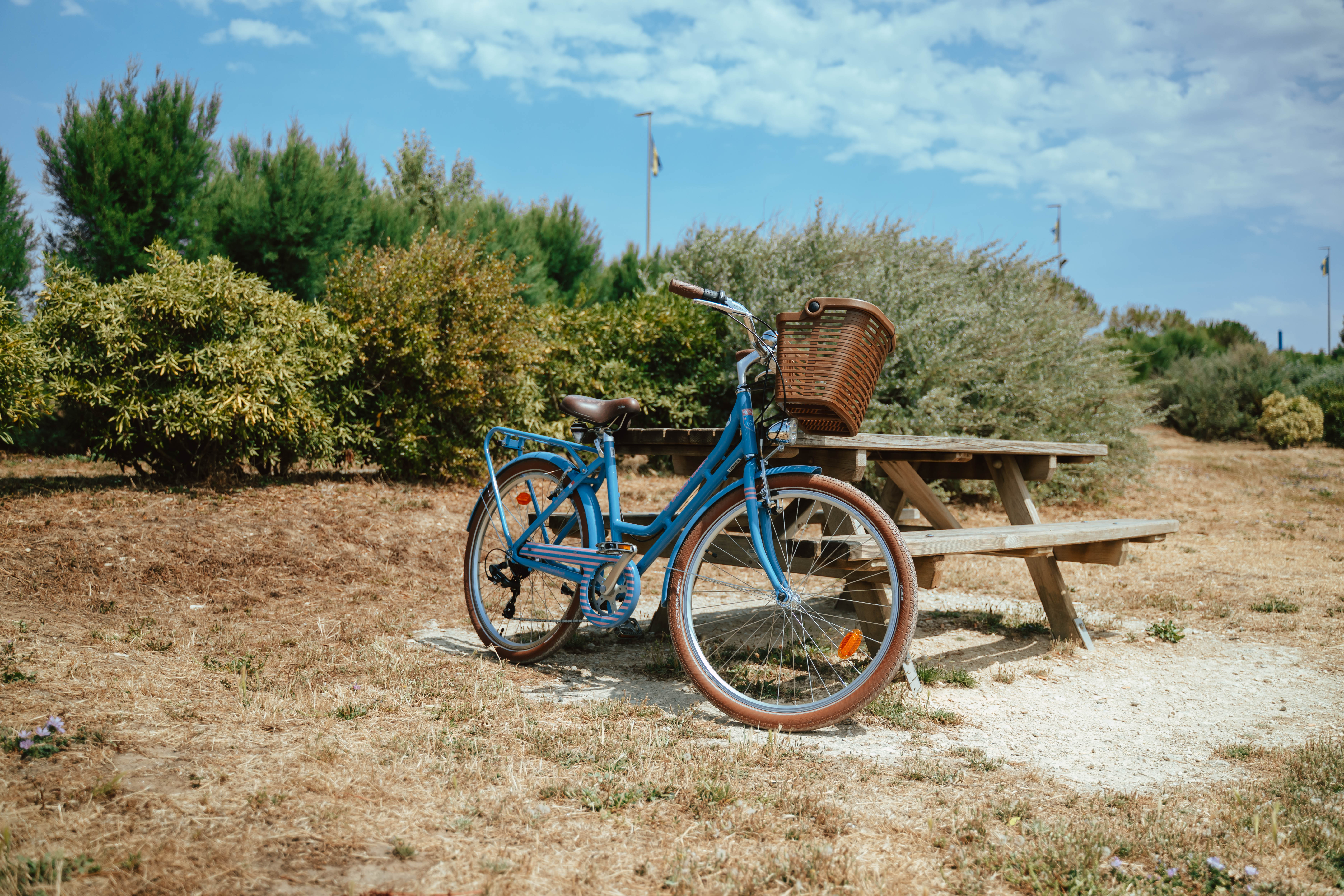 Foto 57 di Beach Bikes - Nice