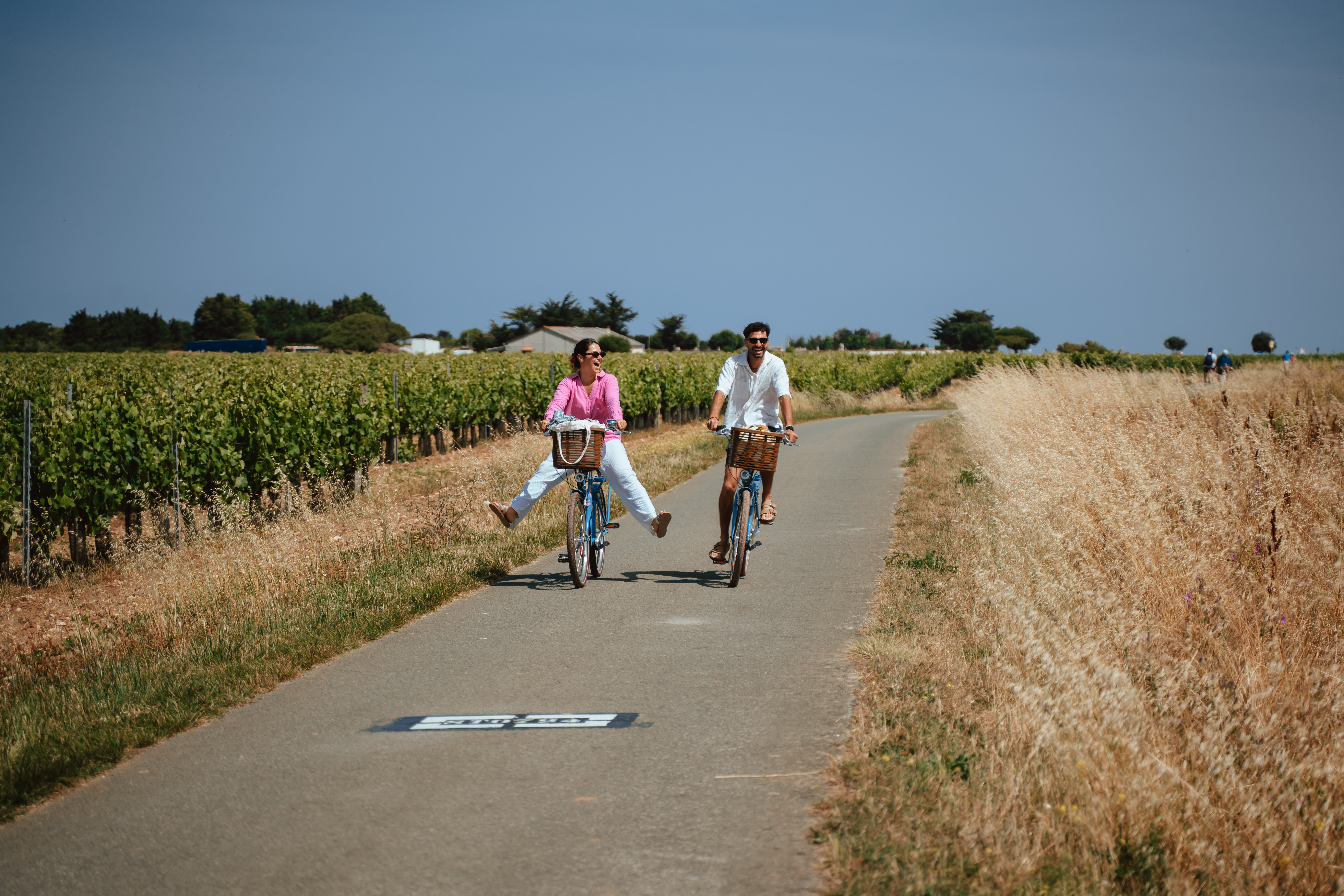 Foto 61 di Beach Bikes - Nice