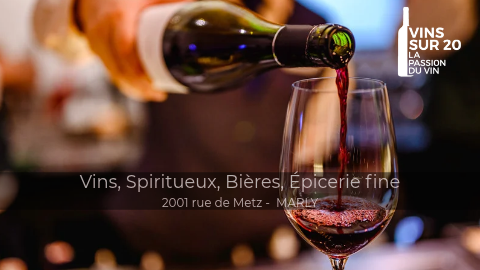 Foto 8 di VINS SUR 20