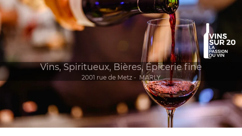Foto 2 di VINS SUR 20