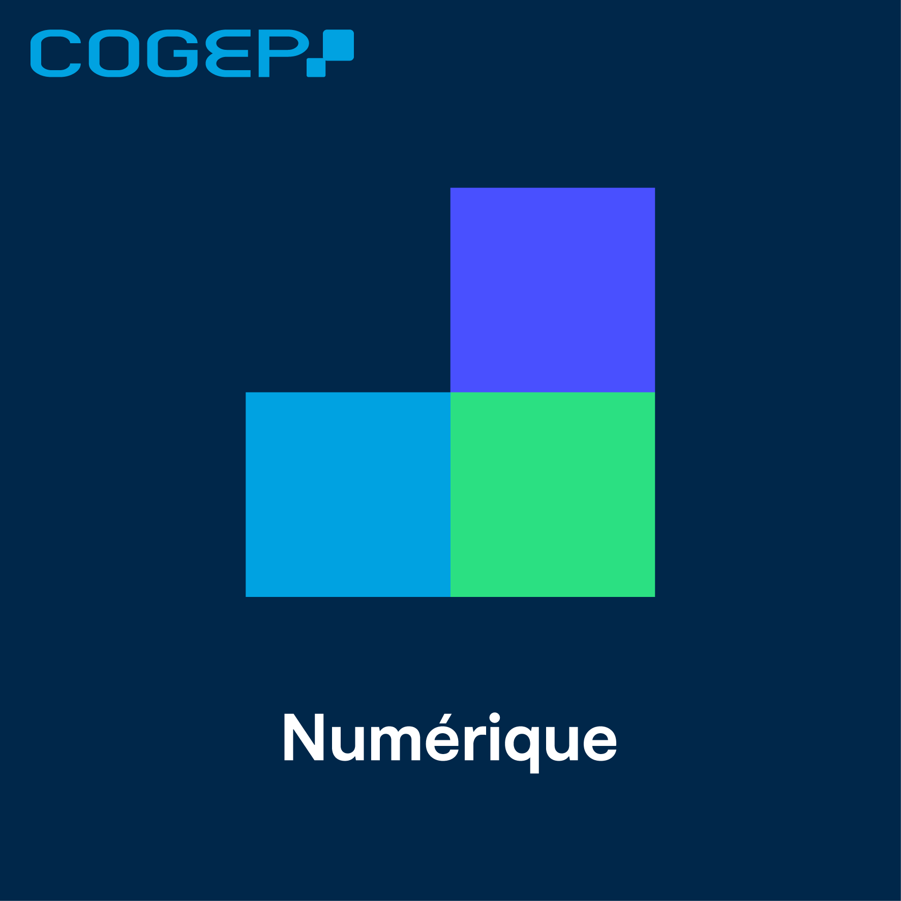 Foto 4 di COGEP Numérique