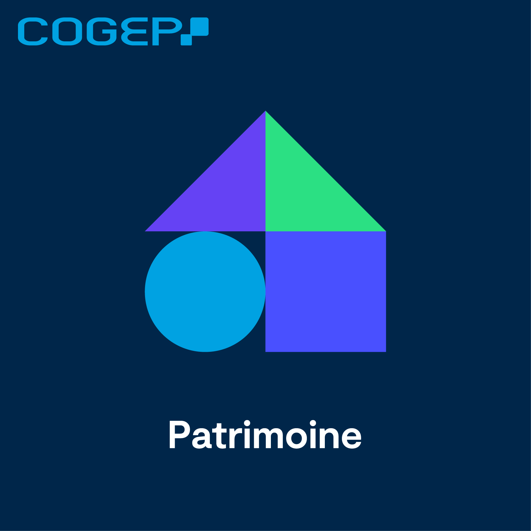 Foto 4 di COGEP
