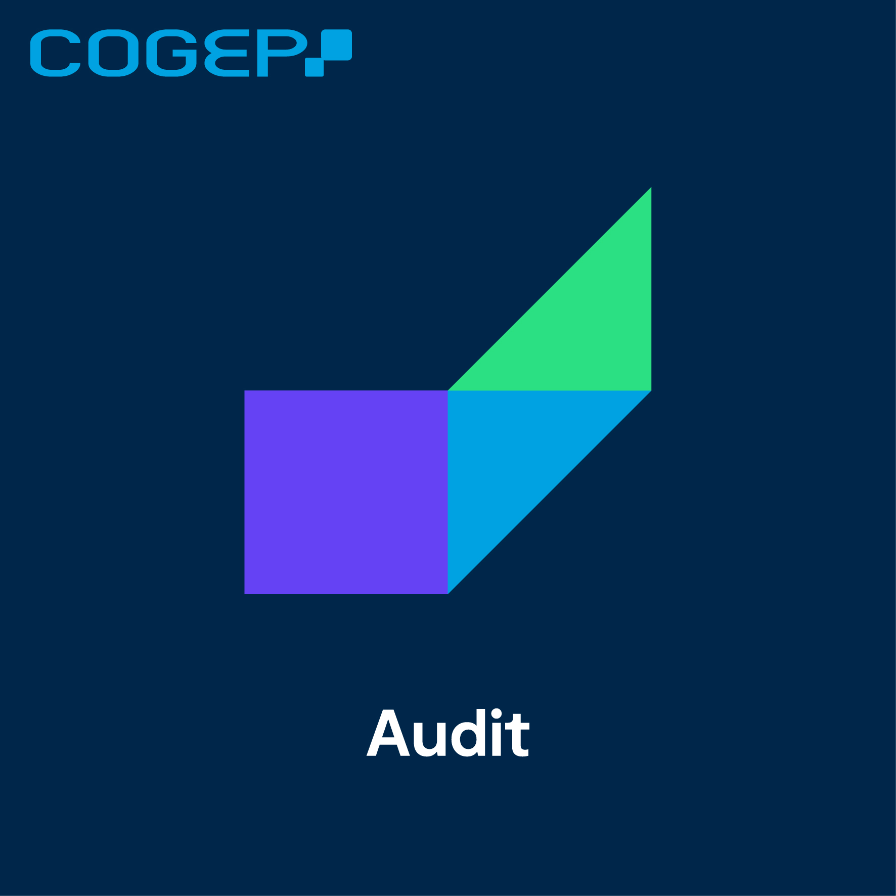 Foto 13 di COGEP