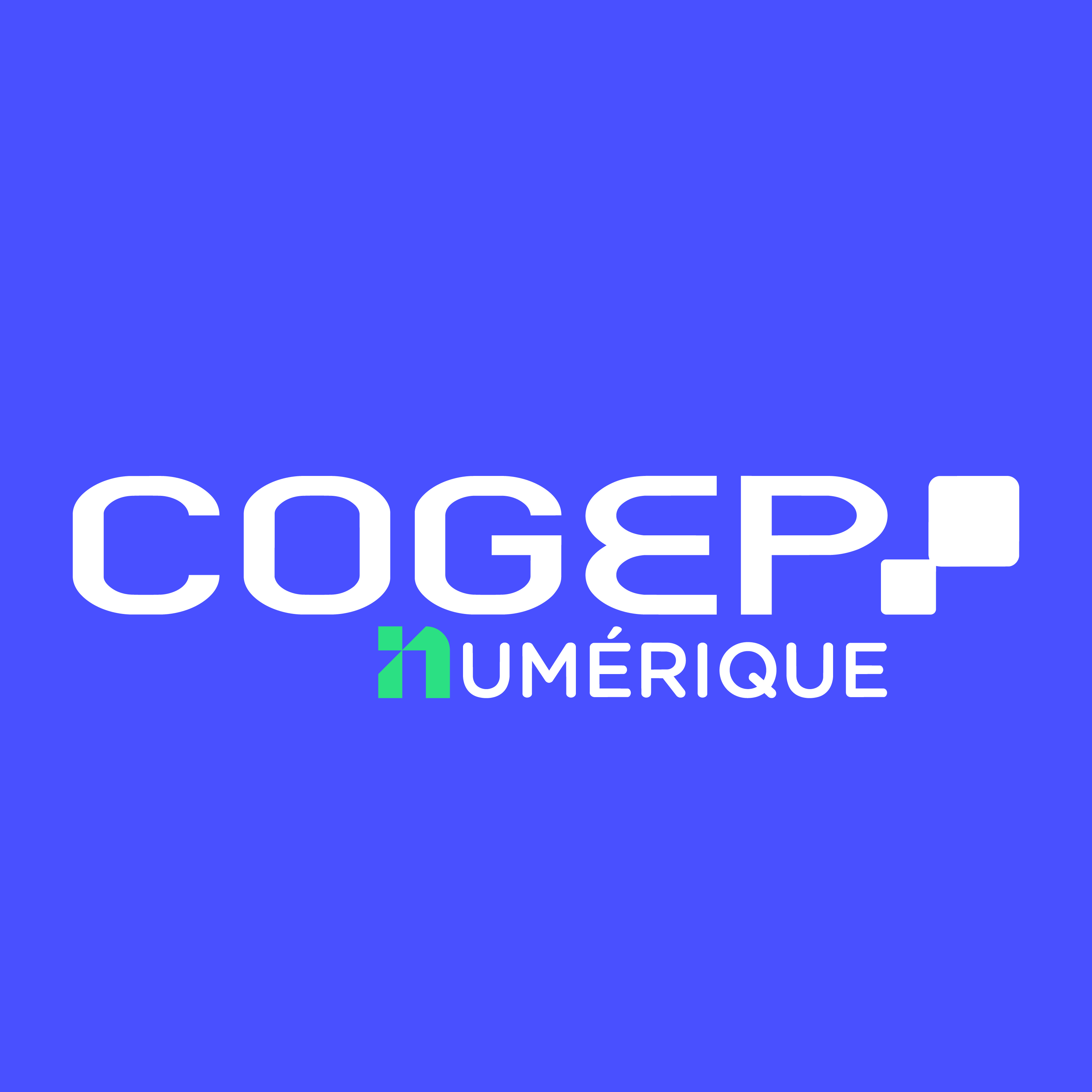 Foto 5 di COGEP Numérique