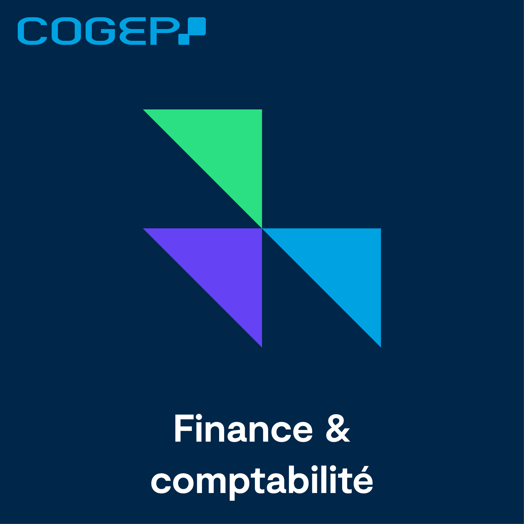 Foto 8 di COGEP