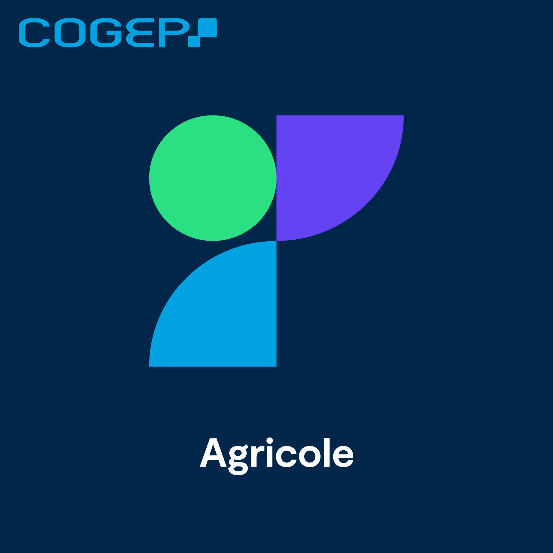 Foto 2 di COGEP