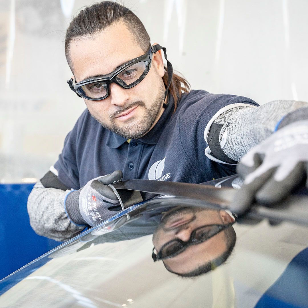 Glassdrive Anadia-Glassdrive