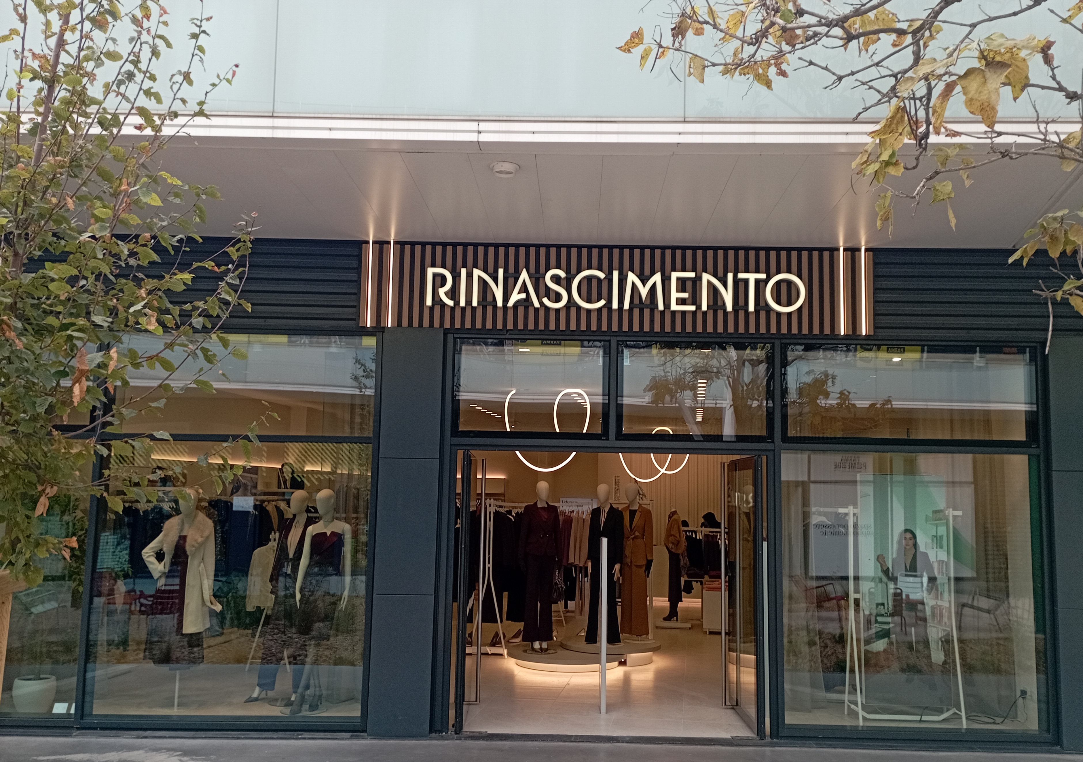 Foto 1 di Rinascimento