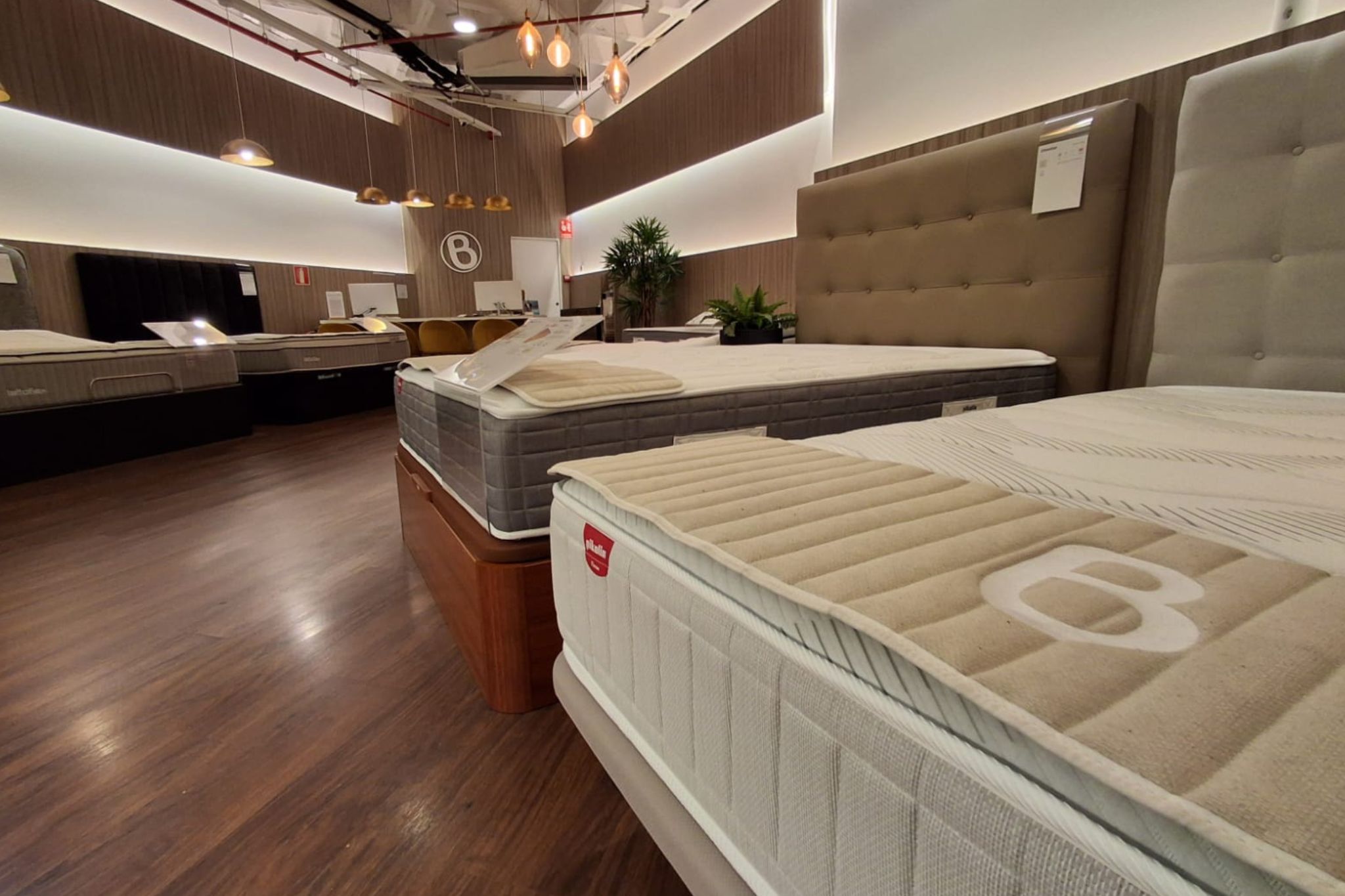 Foto 2 di Bedland