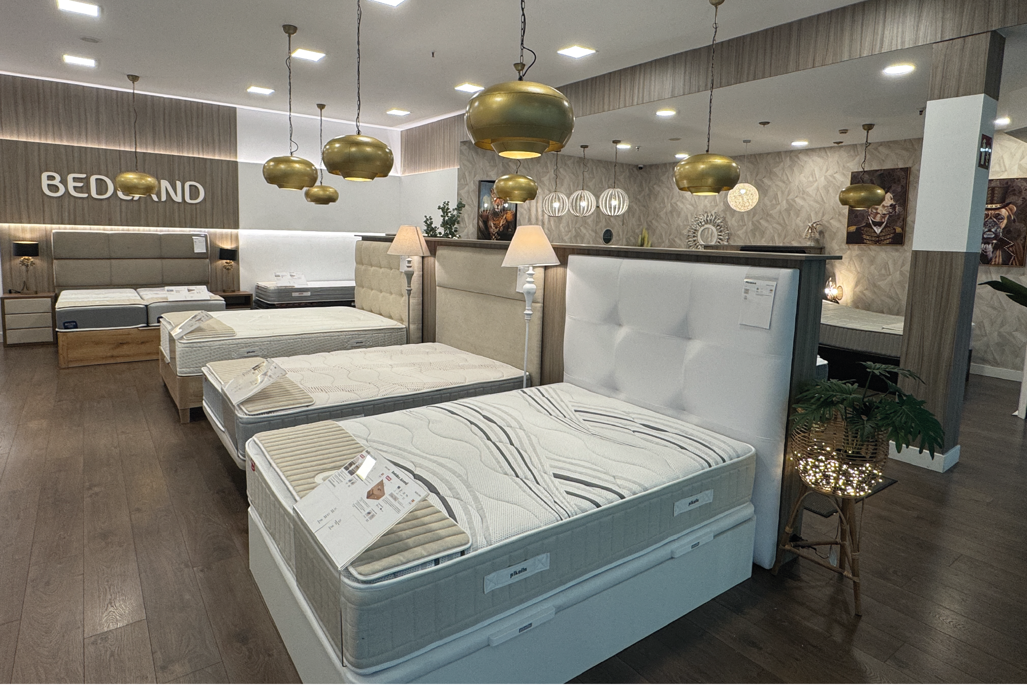 Foto 10 di Bedland