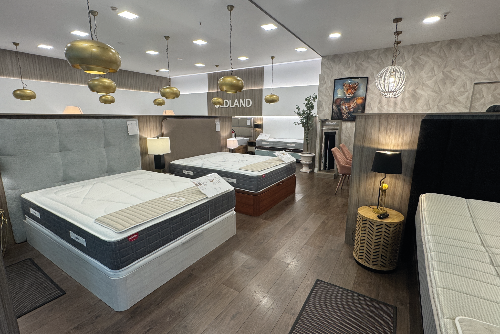 Foto 3 di Bedland