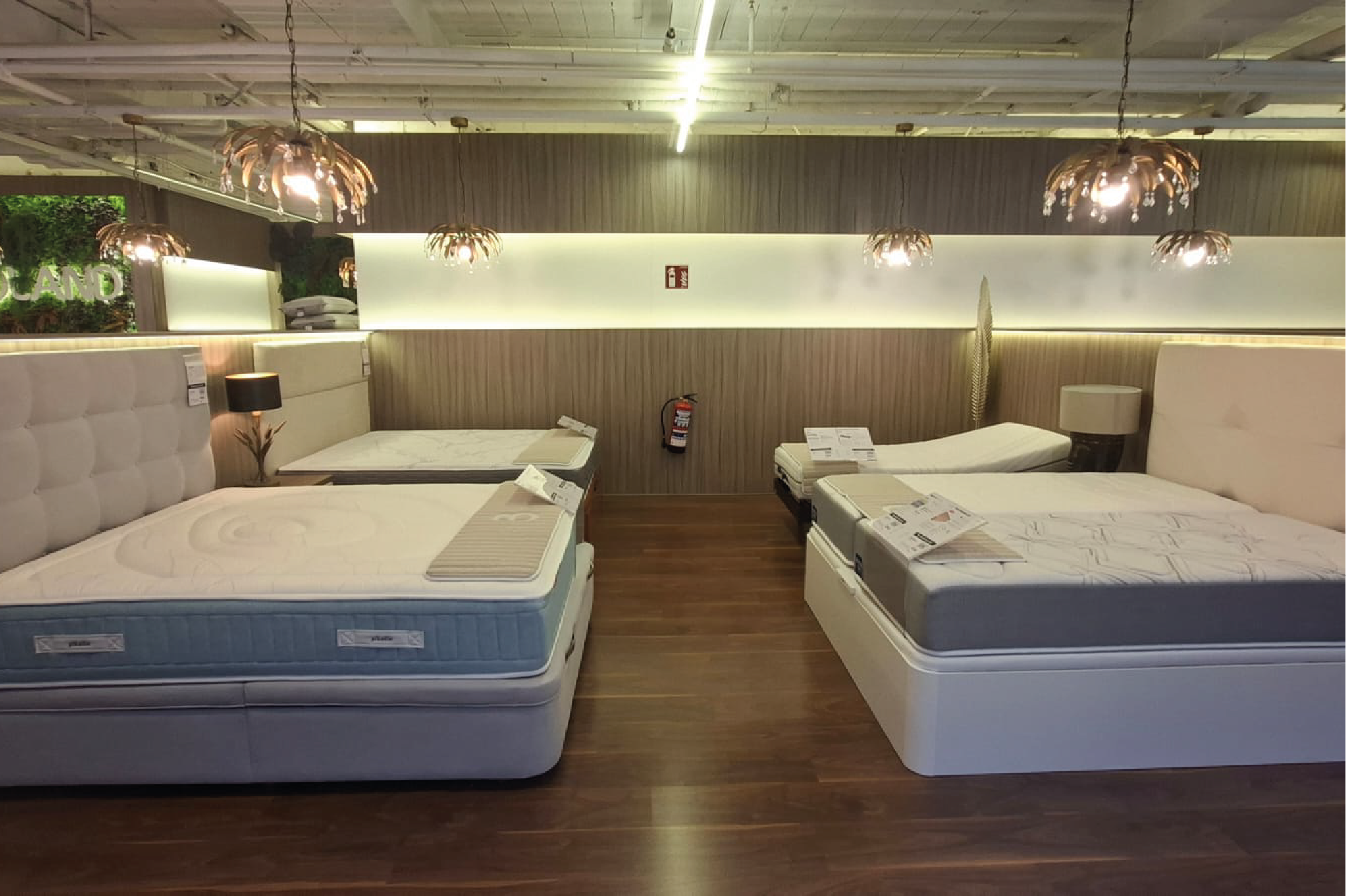 Foto 10 di Bedland