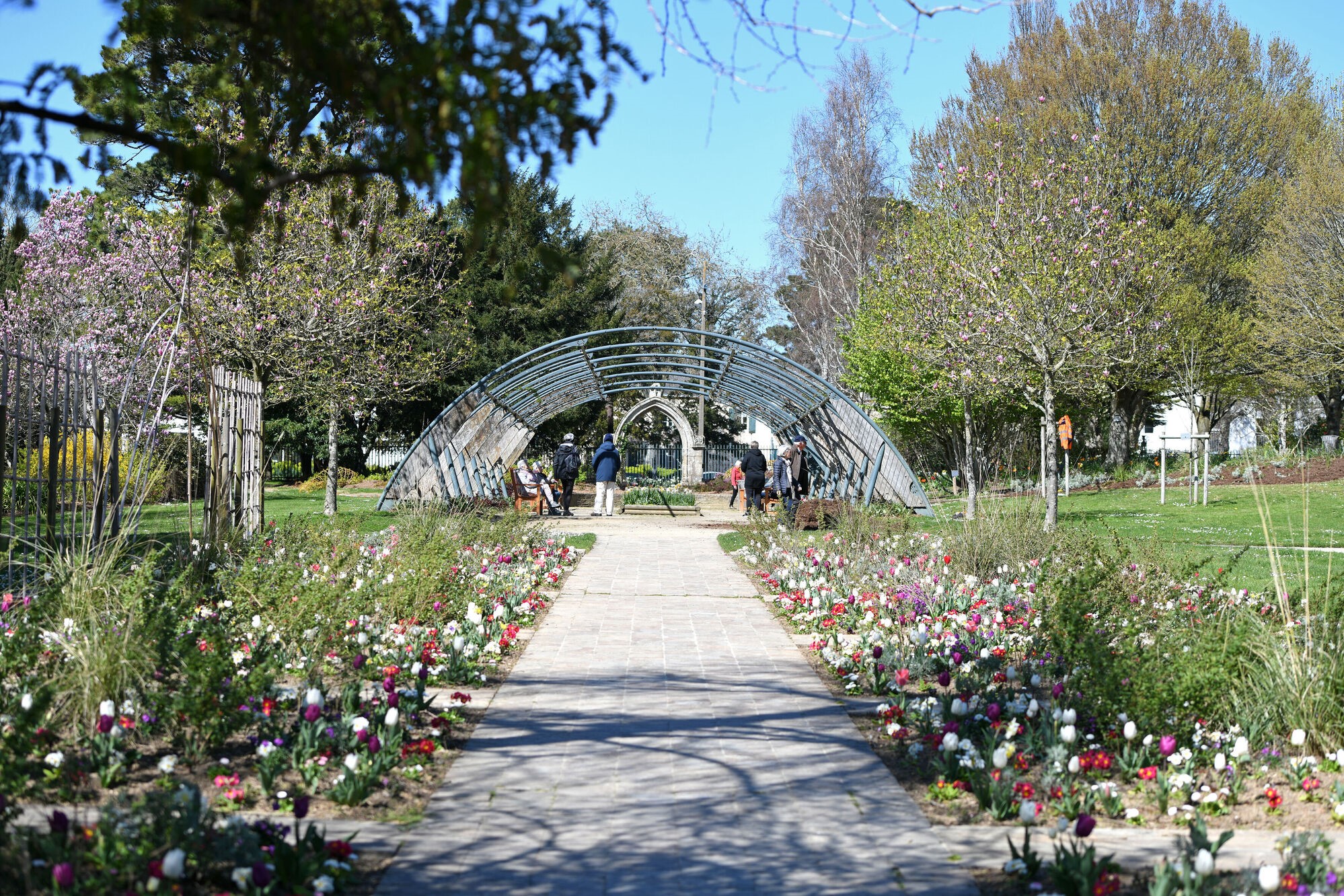 Jardin des plantes