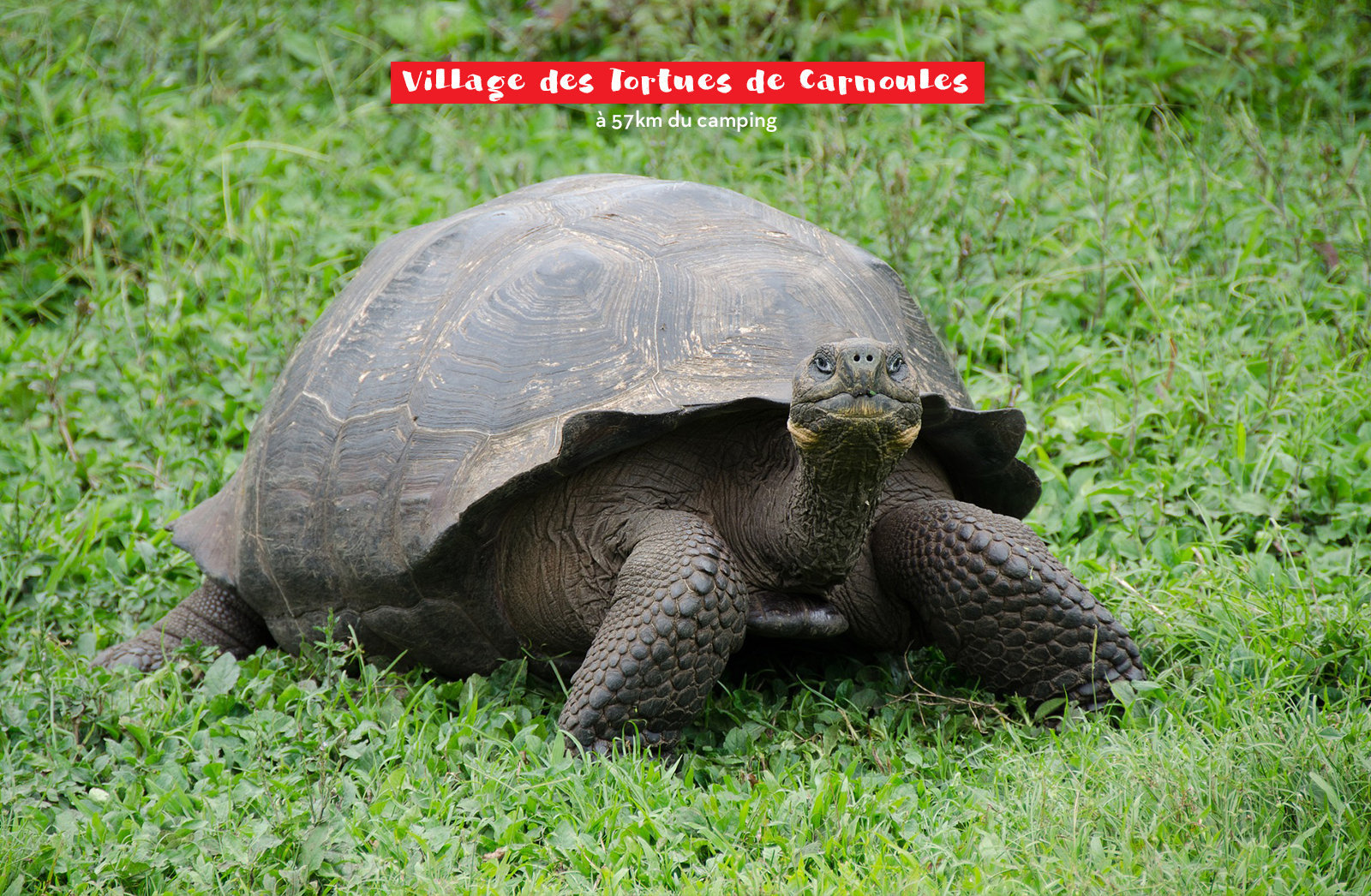 Foto 15 di Camping Capfun - Le Fréjus