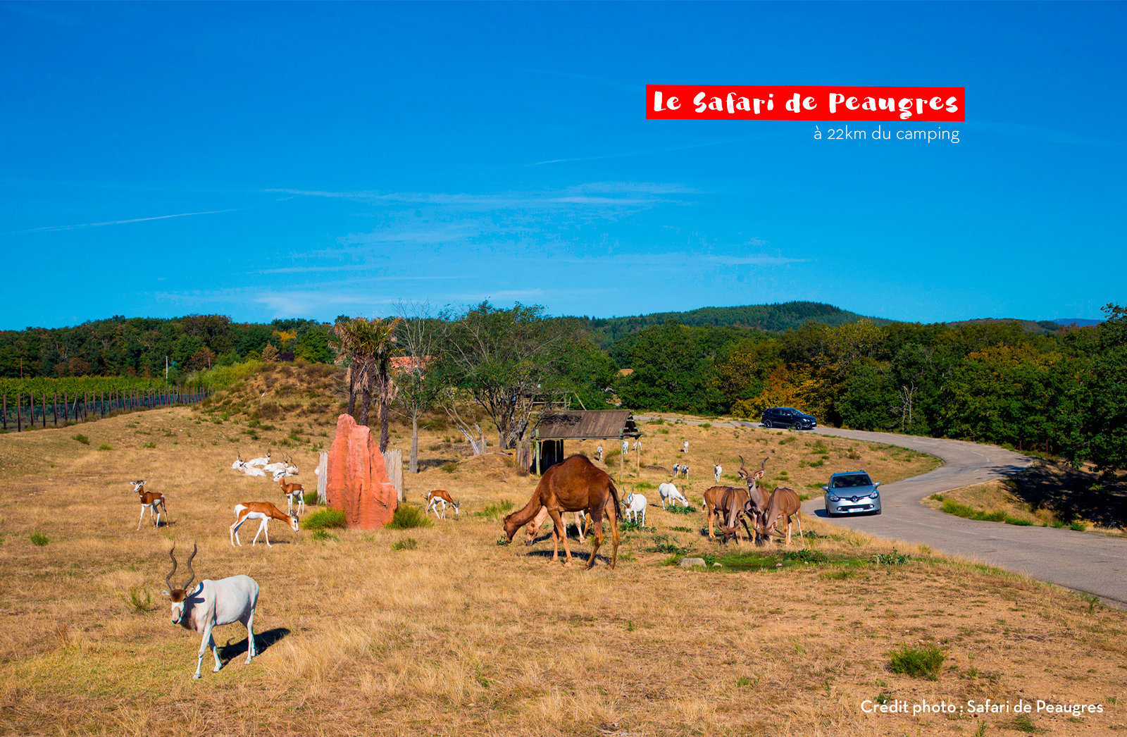 Foto 24 di Camping Capfun - Temps Libre