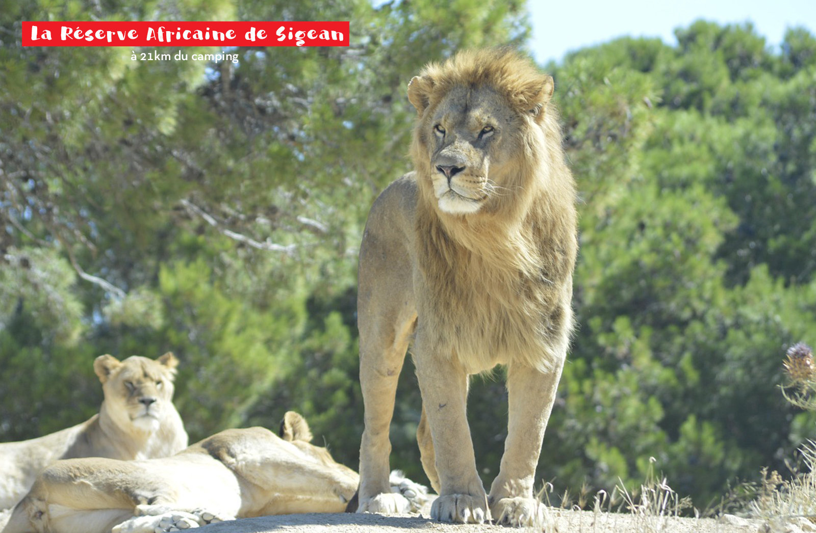 Foto 8 di Camping Capfun - Barbacane