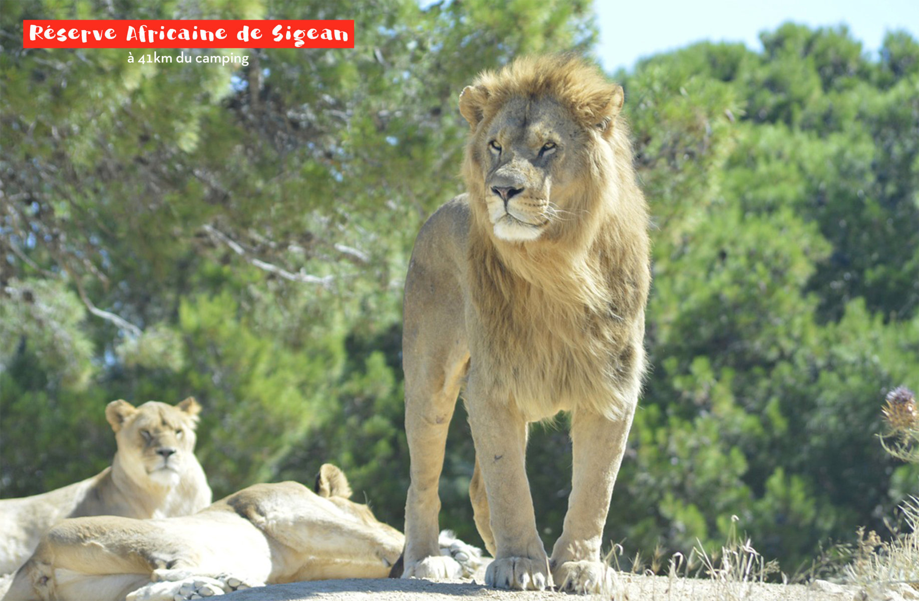 Foto 2 di Camping Capfun - Grande Cosse