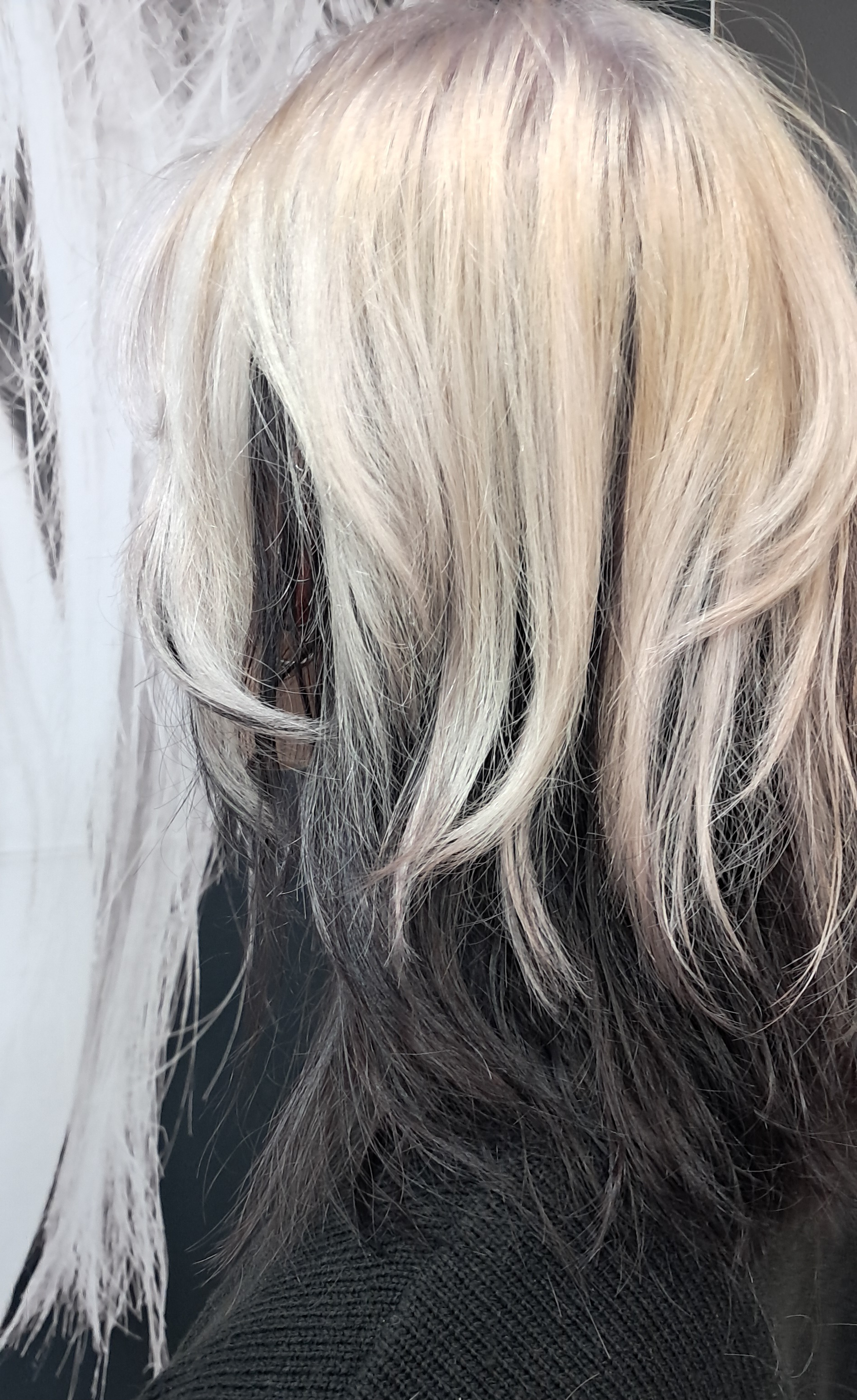 Foto 497 di SWAGG COIFFURE