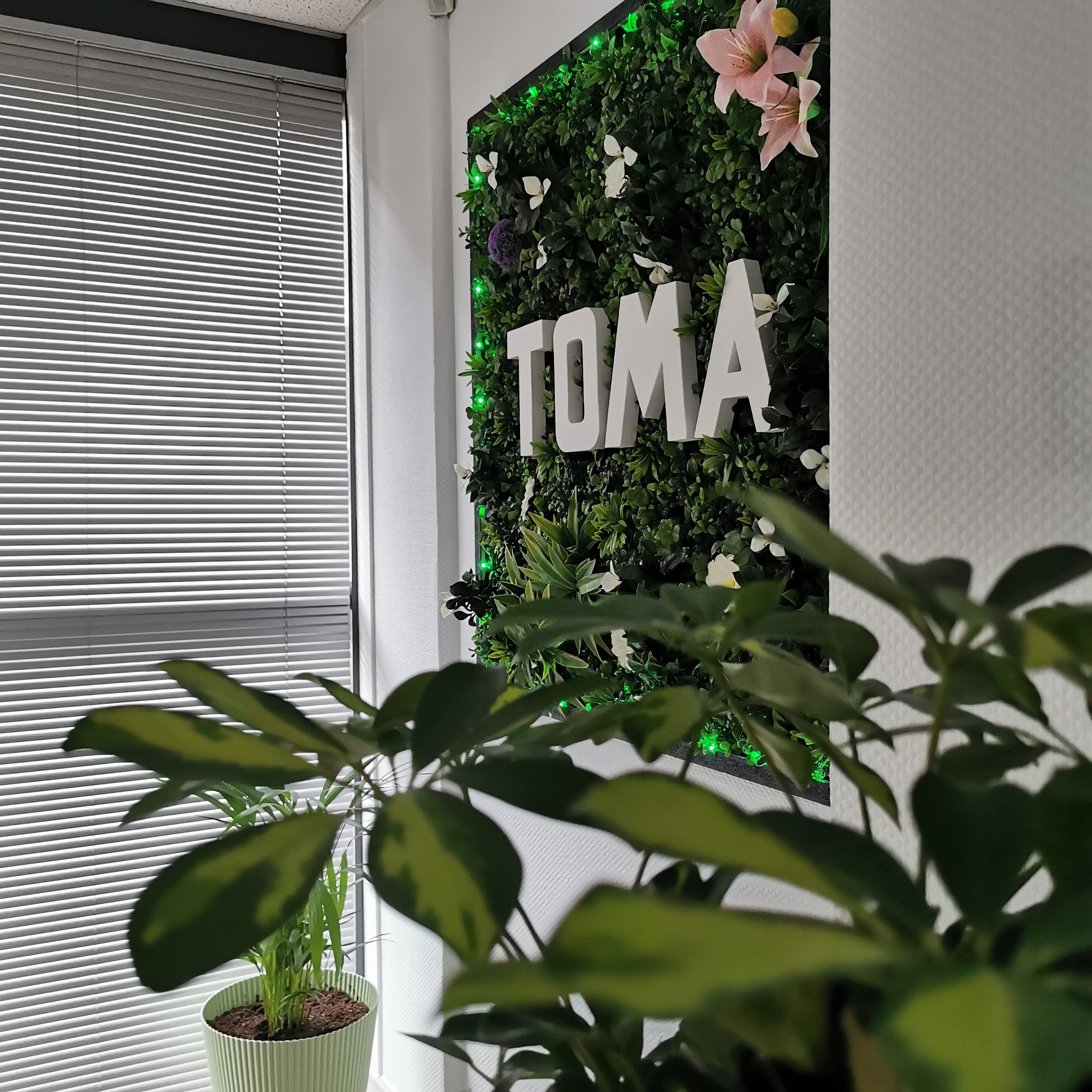 Foto 2 di TOMA Intérim