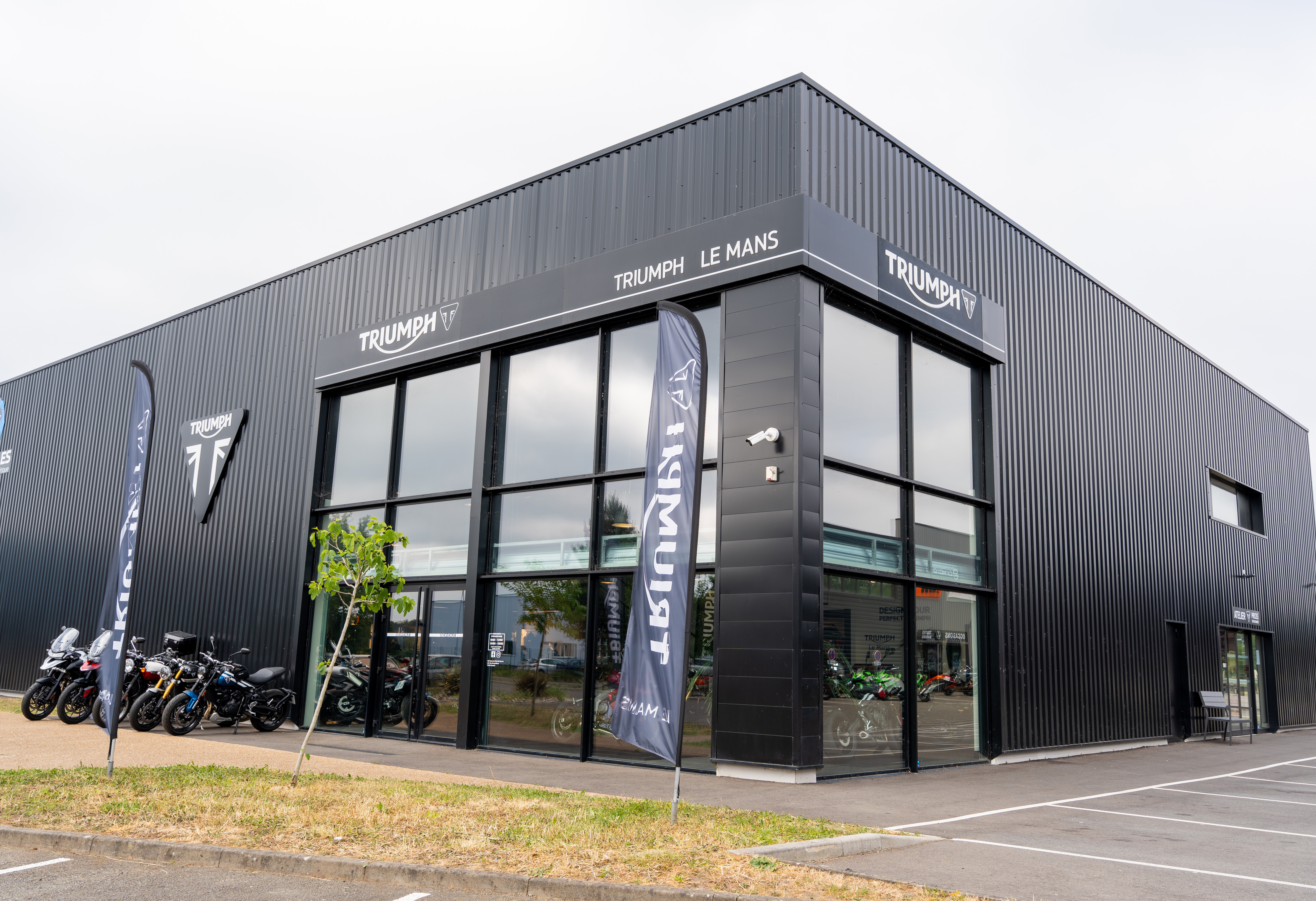 Foto 1 di Triumph Le Mans