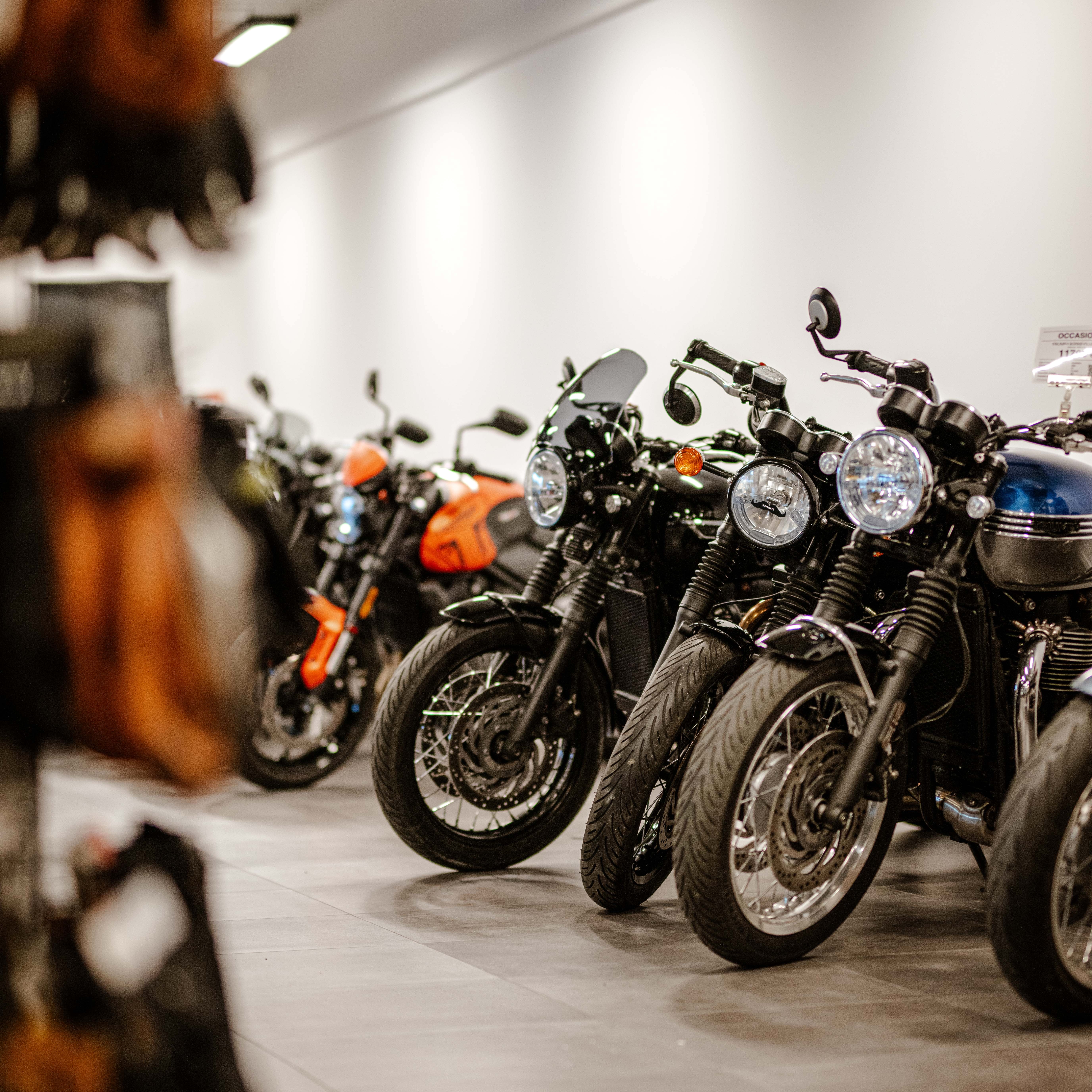 Foto 6 di Triumph Avignon