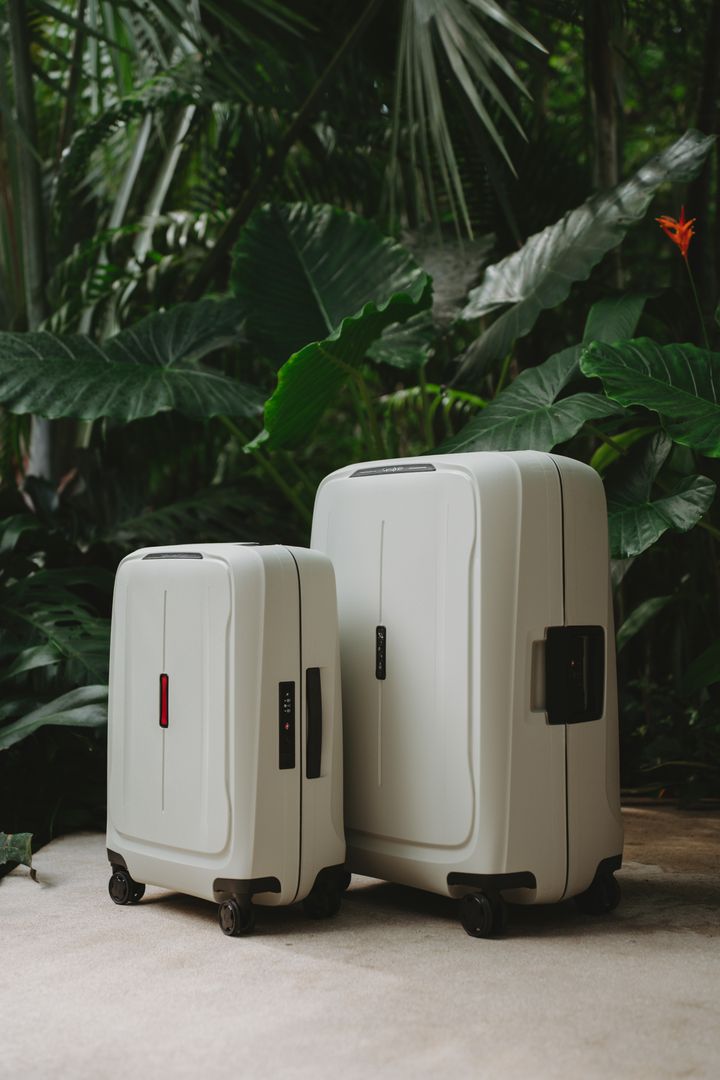 Photo 14 de Samsonite