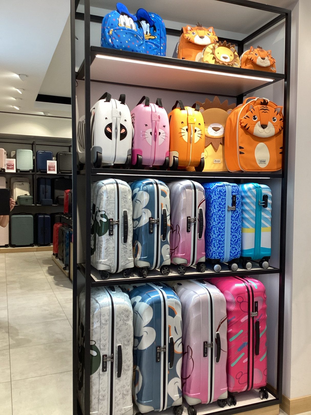 Foto 27 de Samsonite