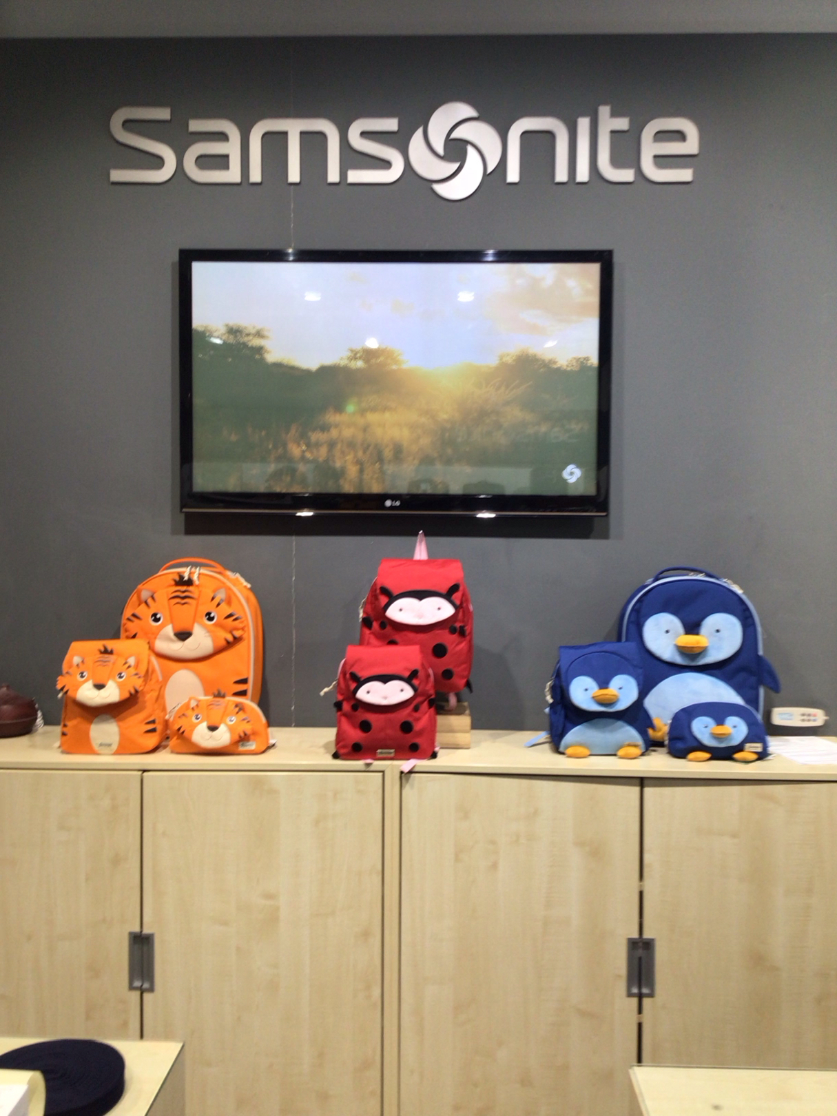 Foto 10 di Samsonite