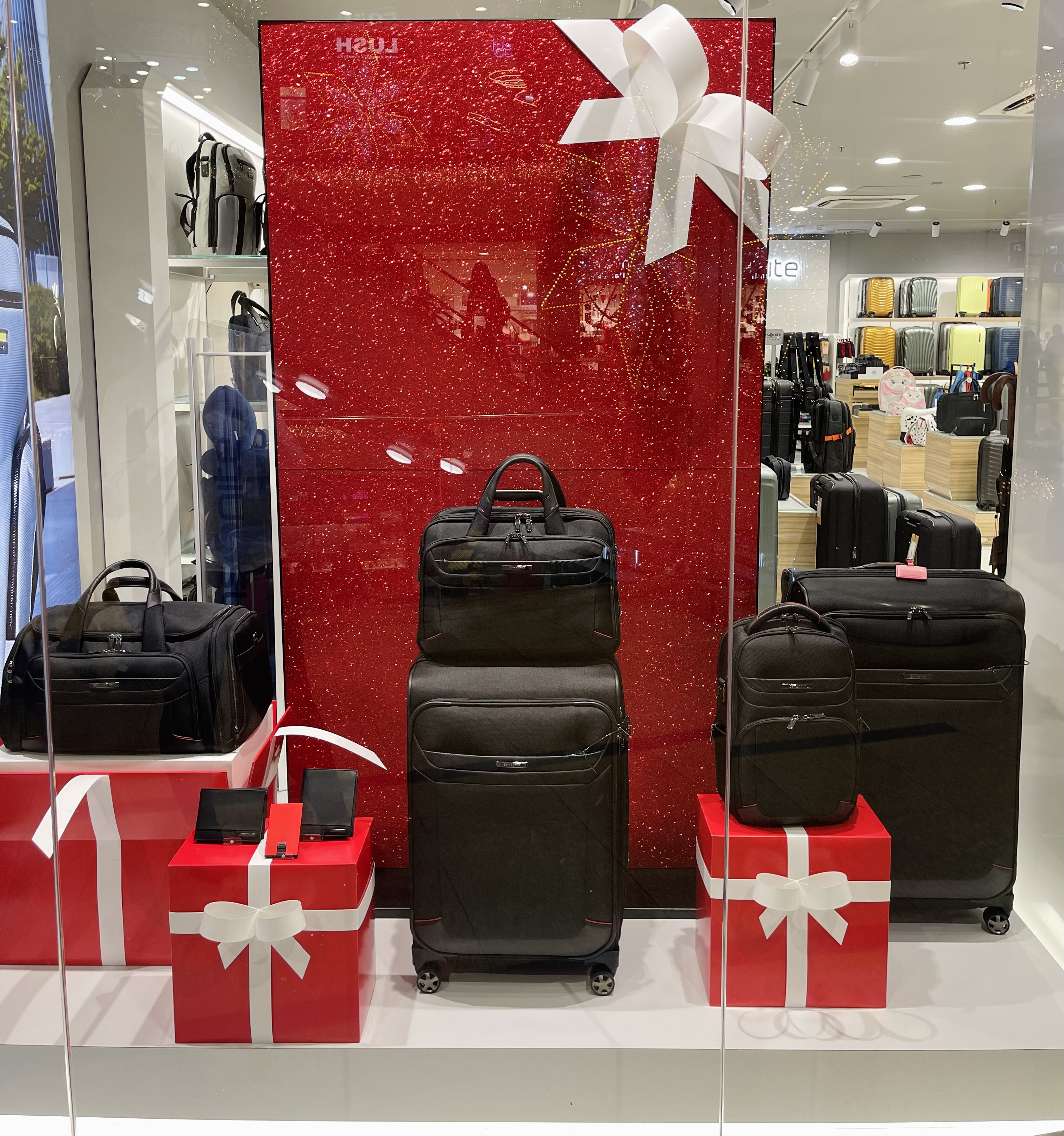 Foto 5 de Samsonite
