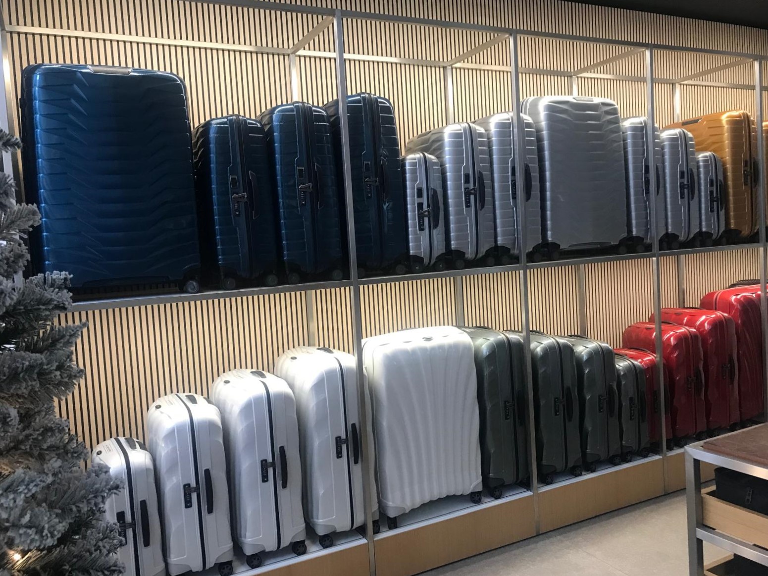 Foto 221 de Samsonite